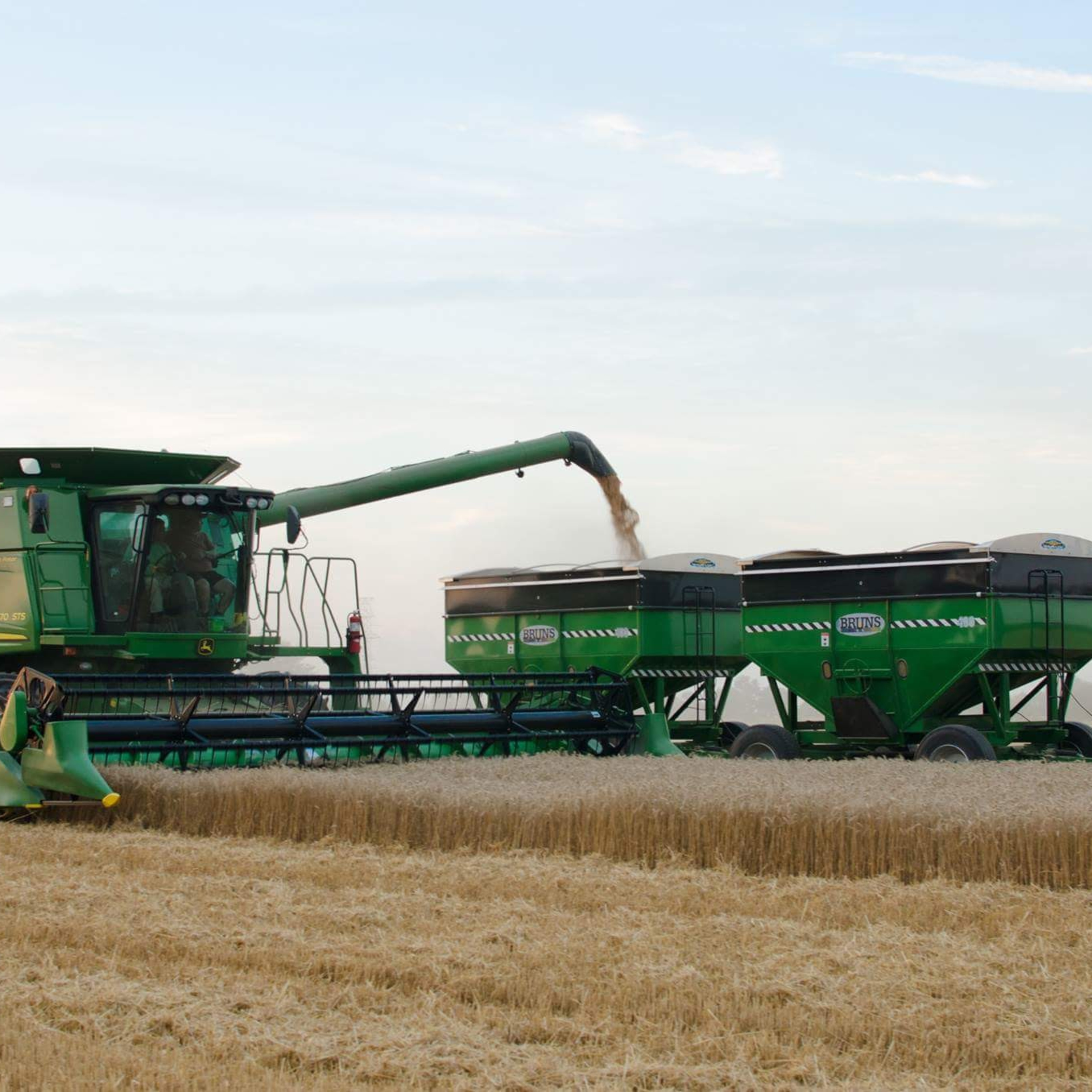 What were the top agri-food issues and stories of 2019? Our top 10 picks episode artwork