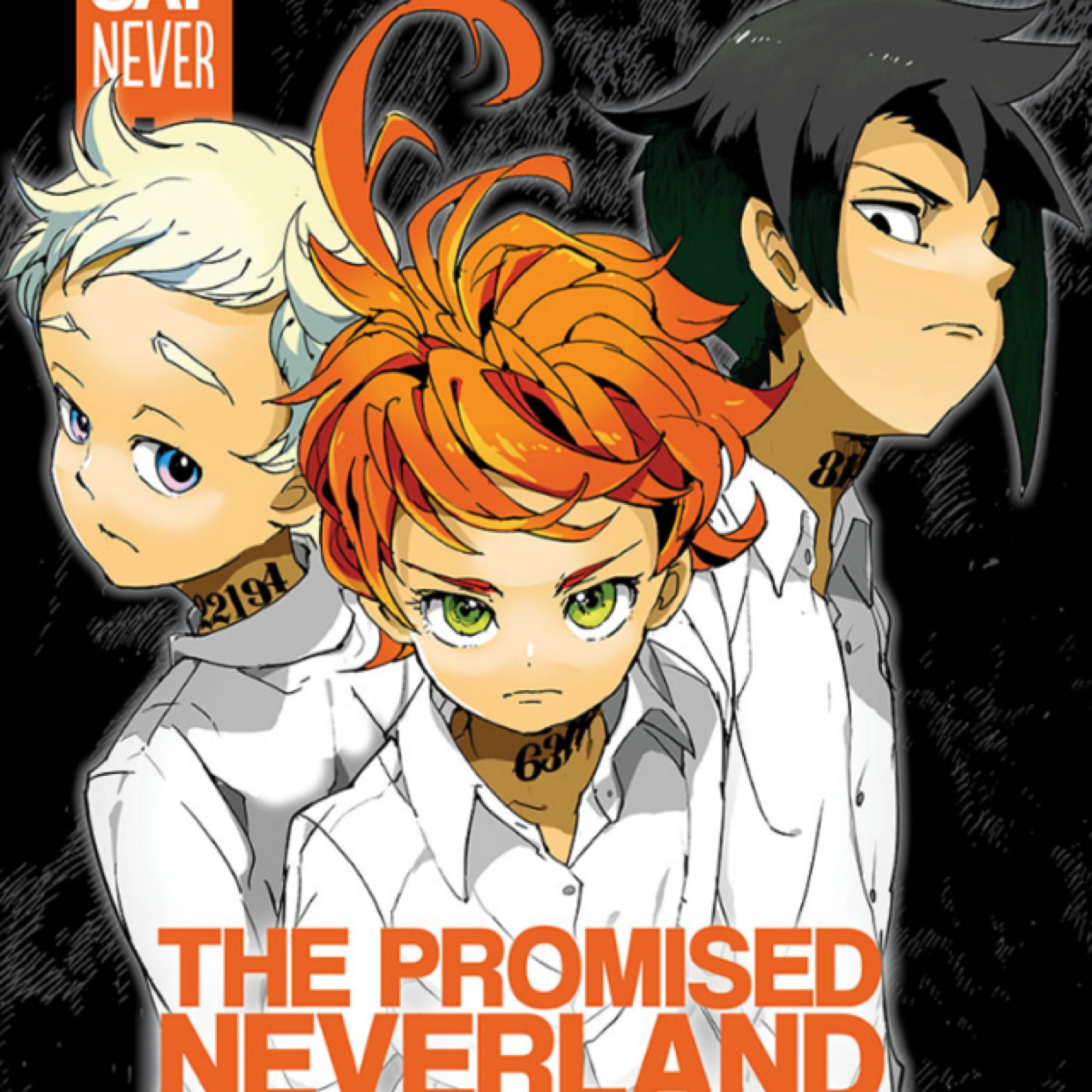PlayStation E3 and Promise Neverland Review  episode artwork