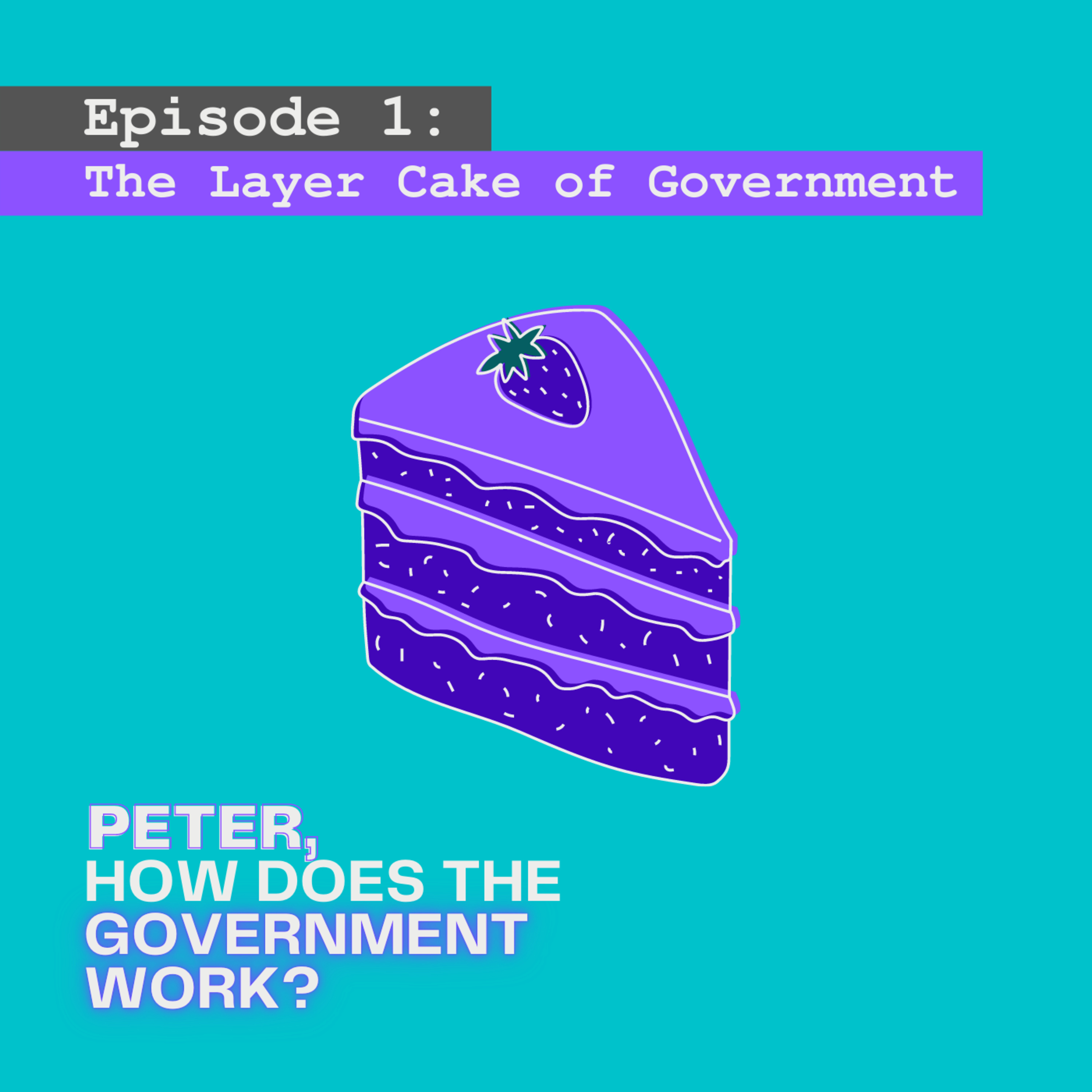 Peter, How Does The Government Work?