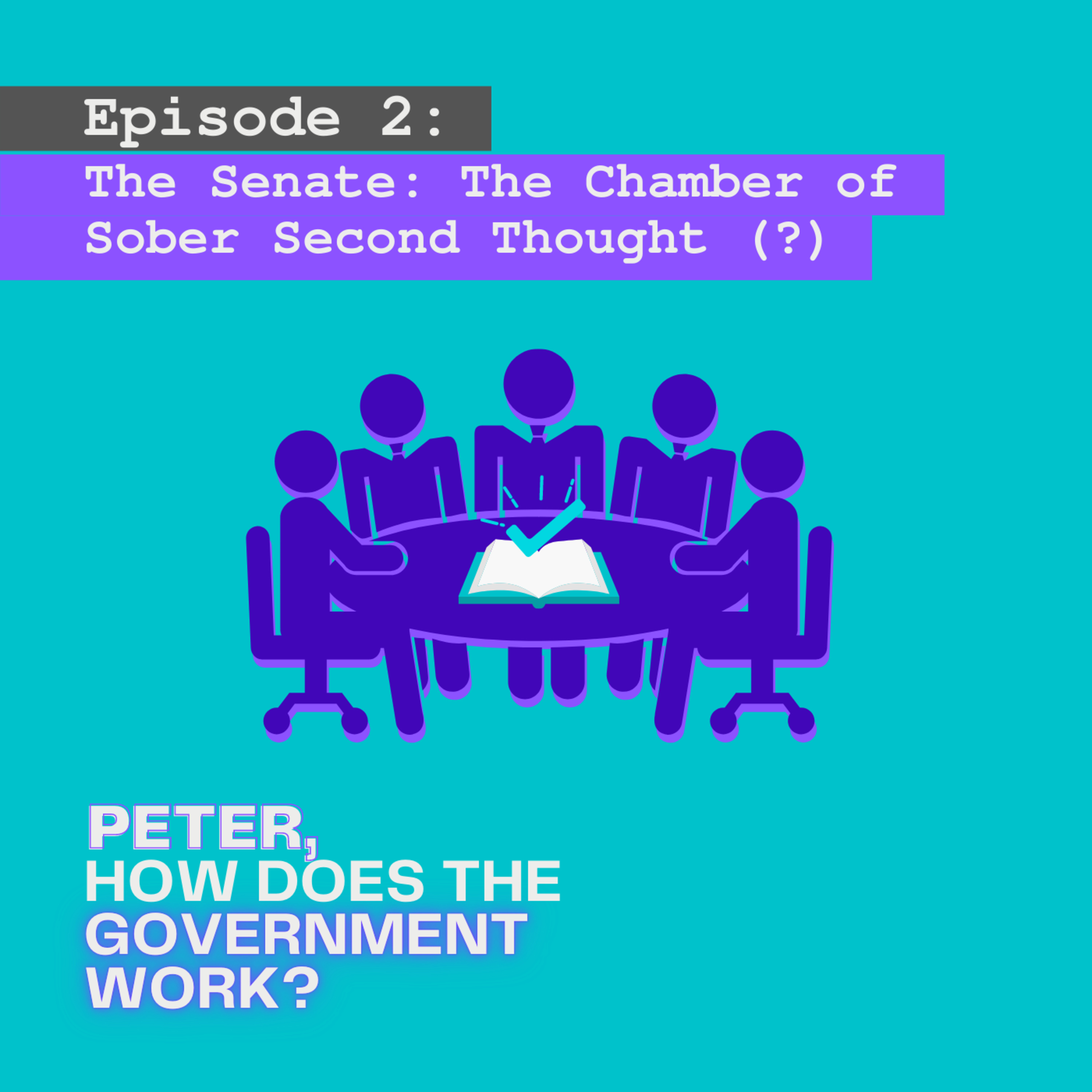 Peter, How Does The Government Work?
