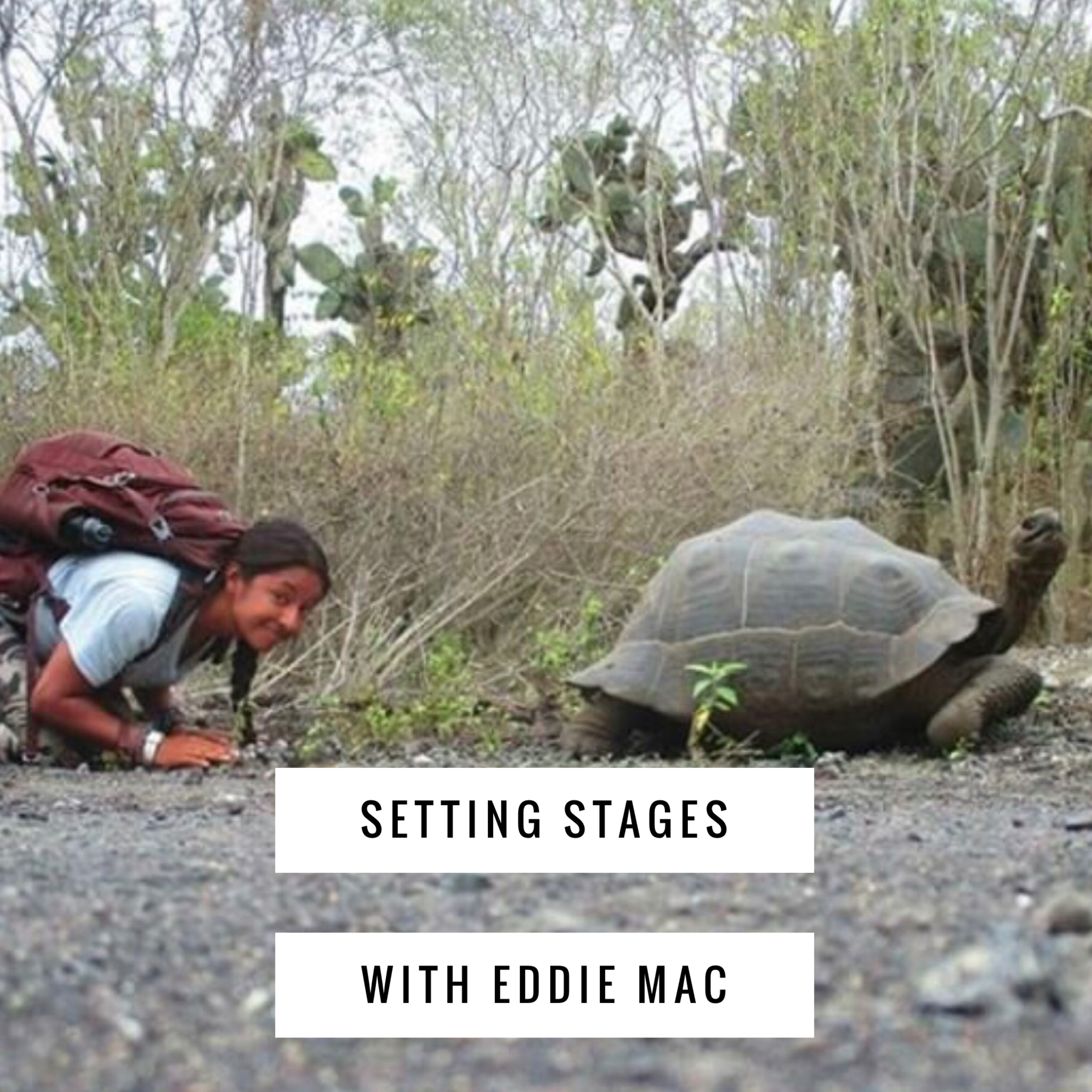 Setting Stages
