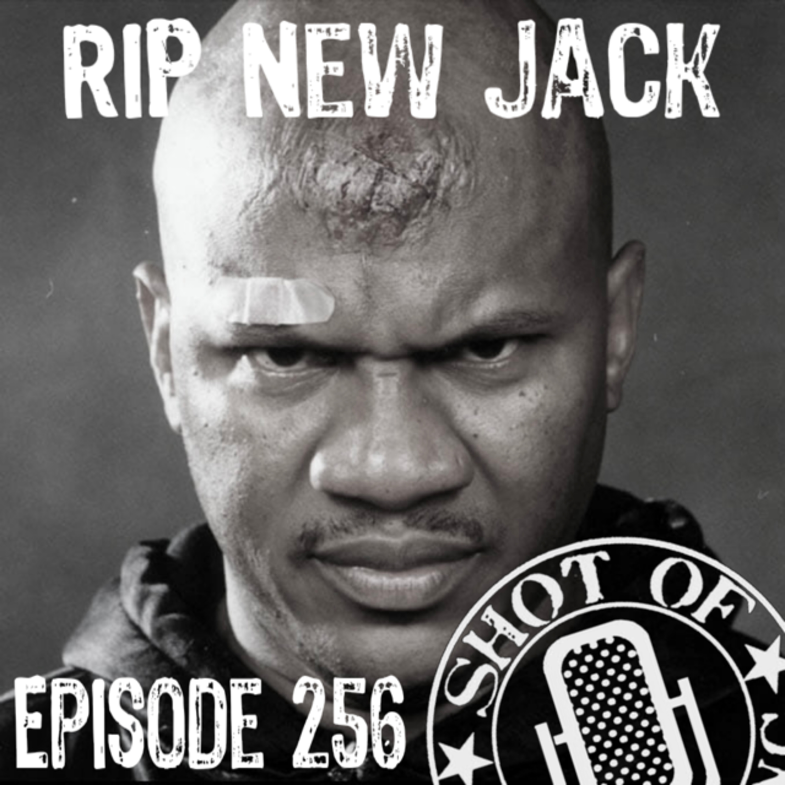 Episode 256: No Zoom for You episode artwork