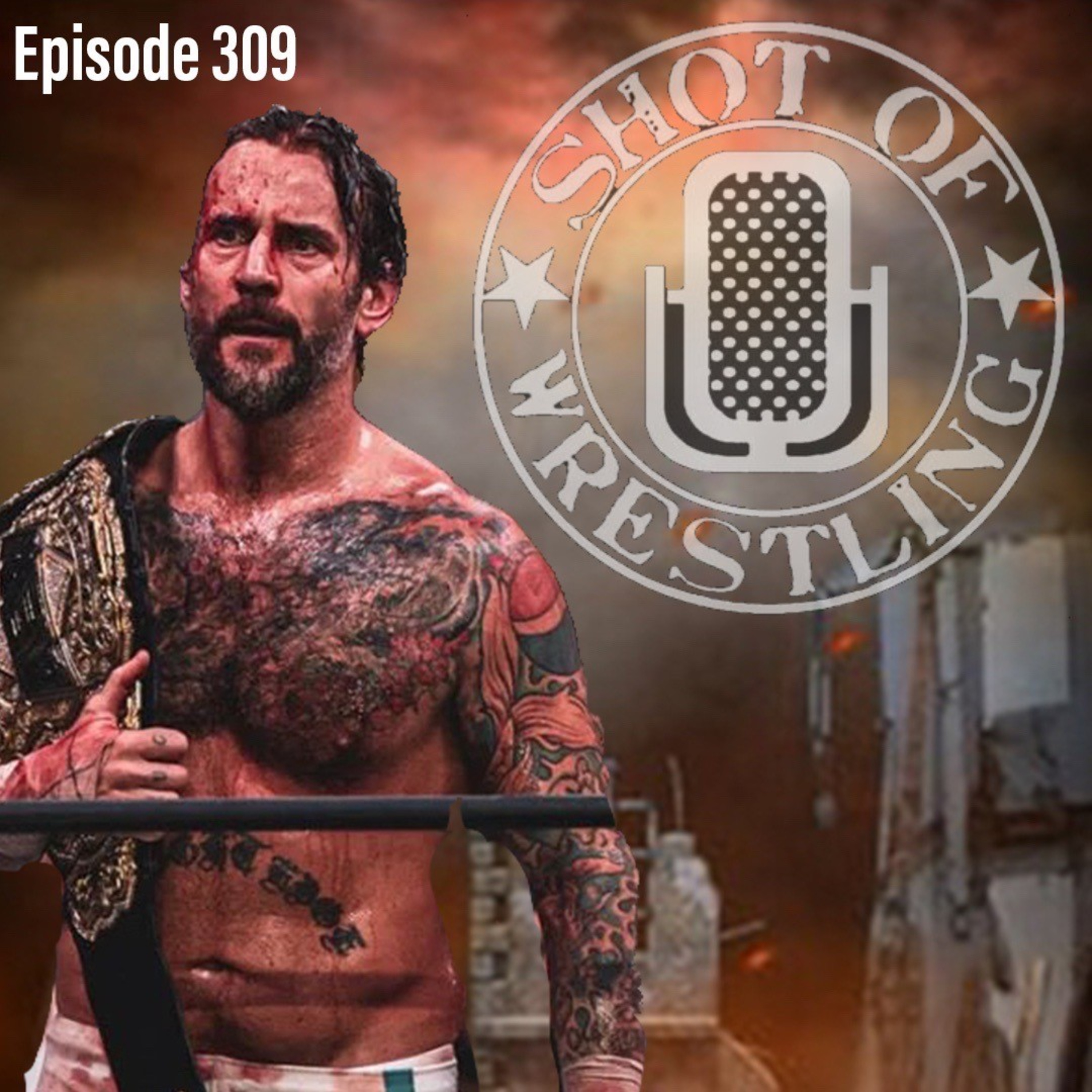 Episode 309: Locker Room Troubles / CM Punk Rant / Toxic Attraction Call-up episode artwork