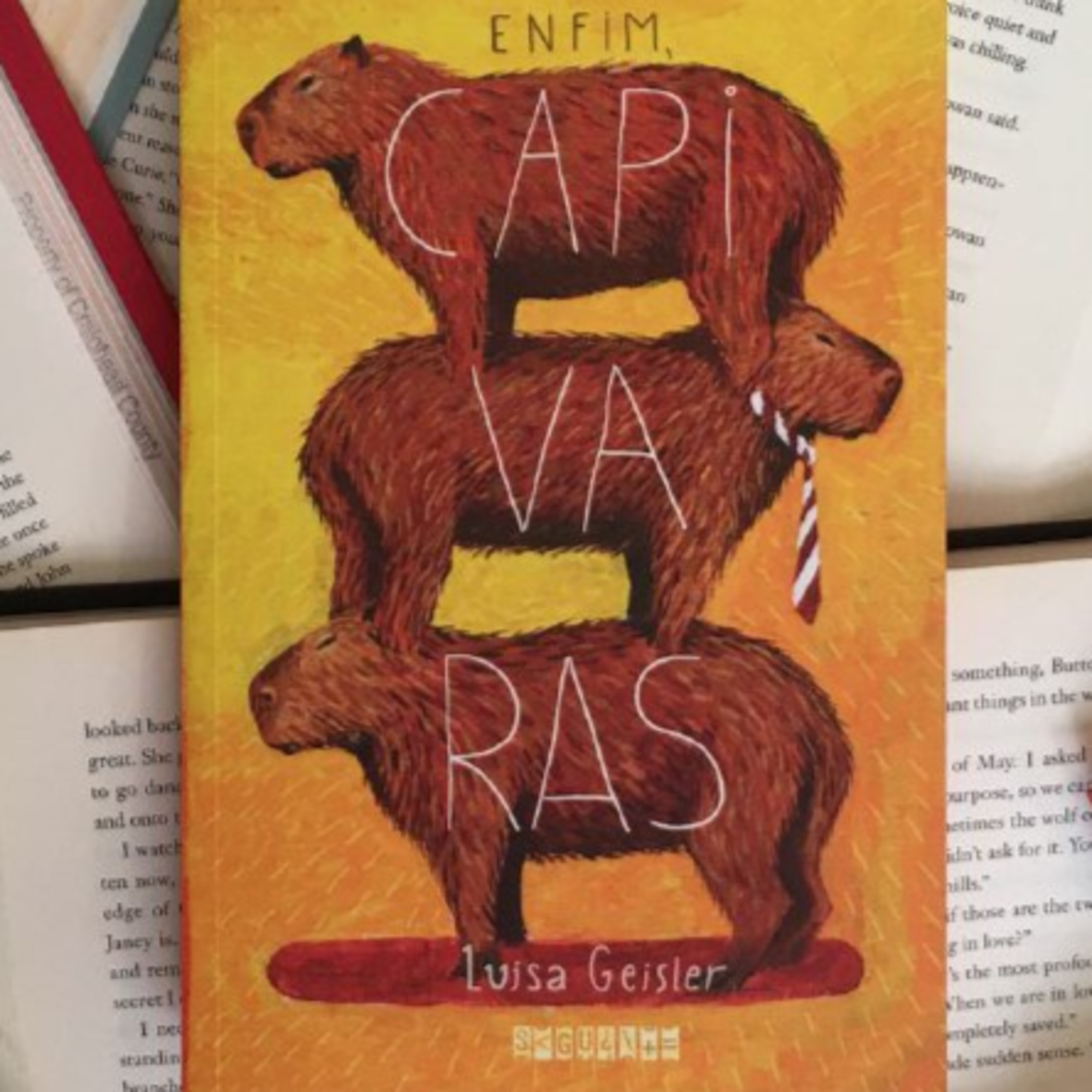 Luisa Geisler foi censurada na Feira do Livro de Nova Hartz episode artwork