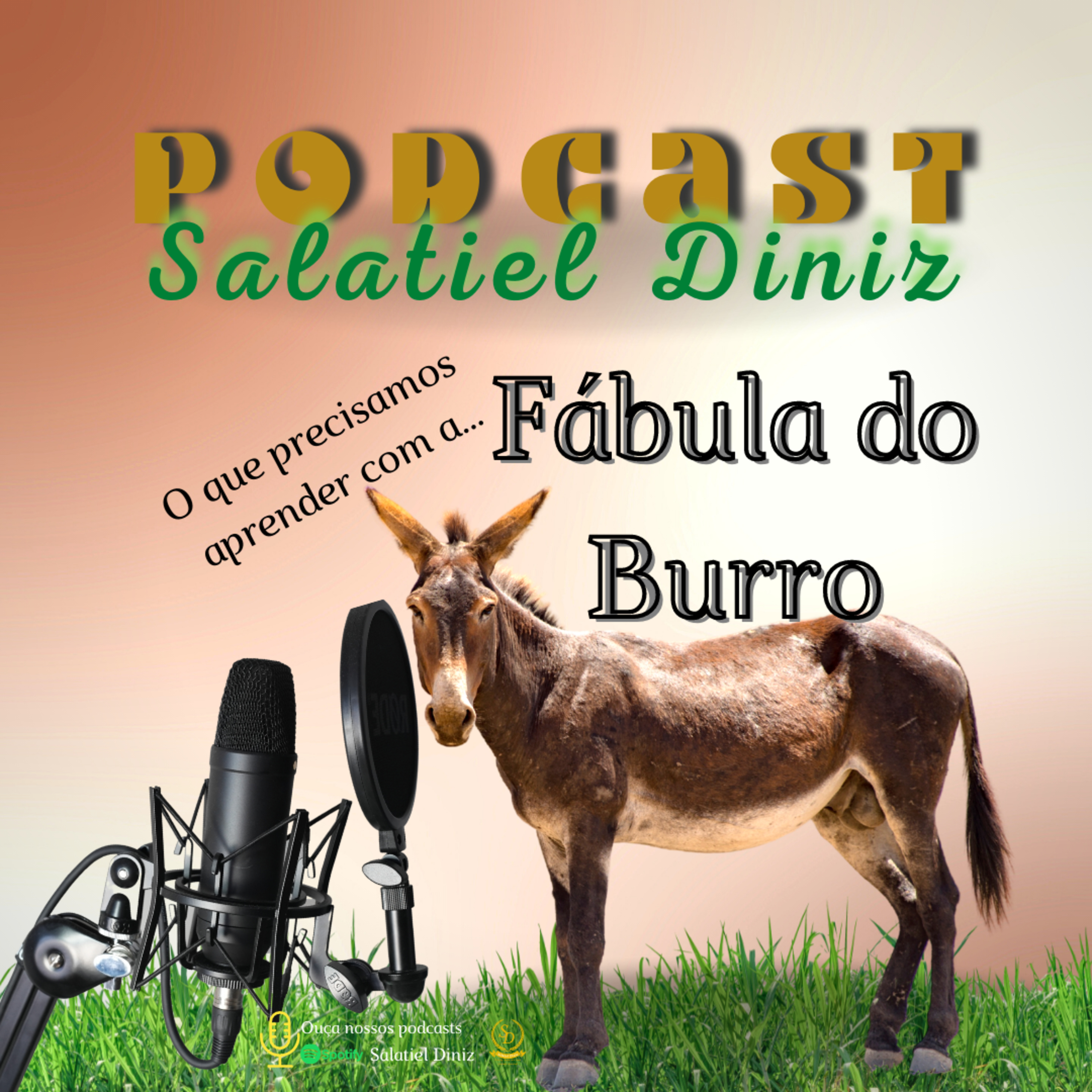 Salatiel Diniz