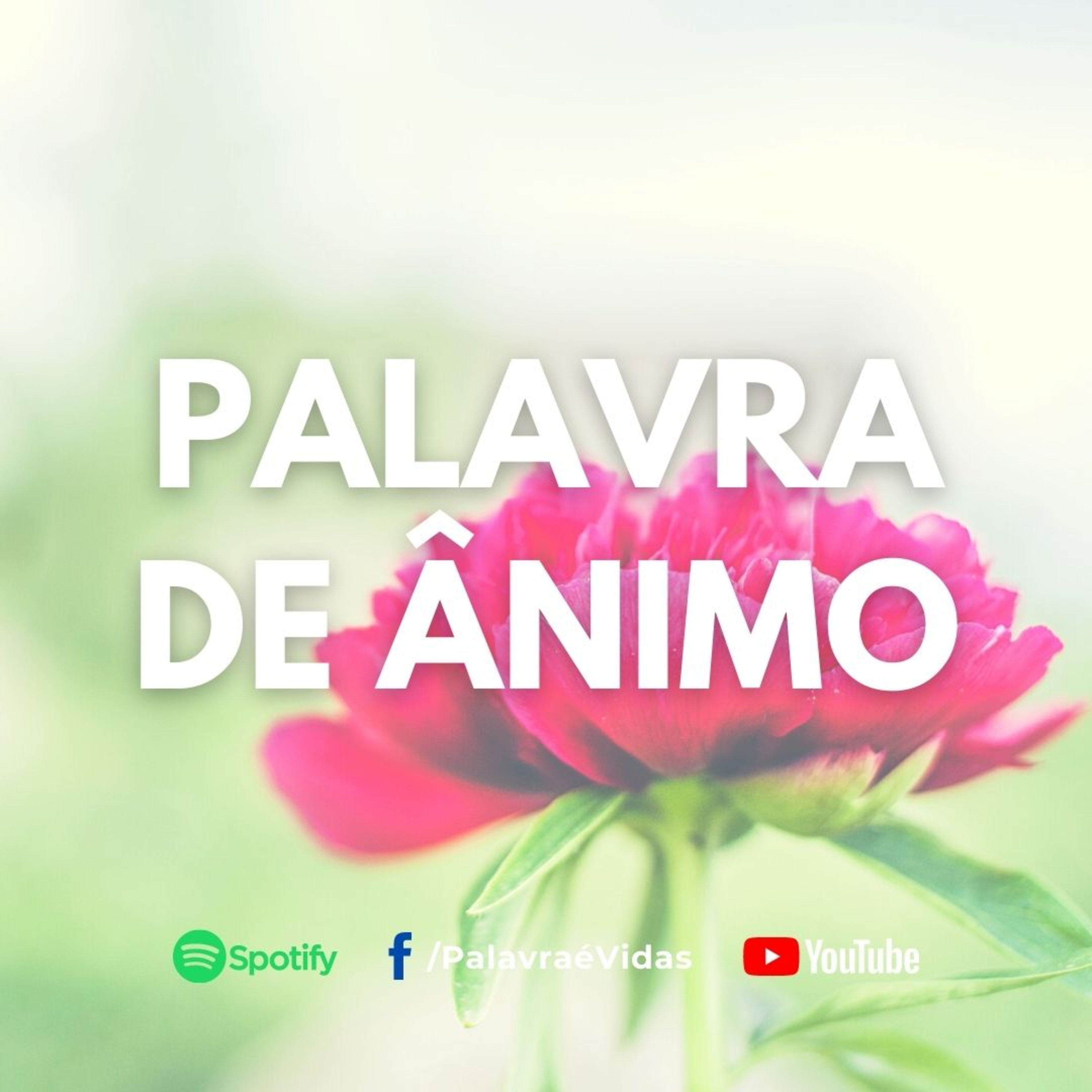 Defenda e lute por aquilo que Deus te deu - Palavra de Ânimo episode artwork