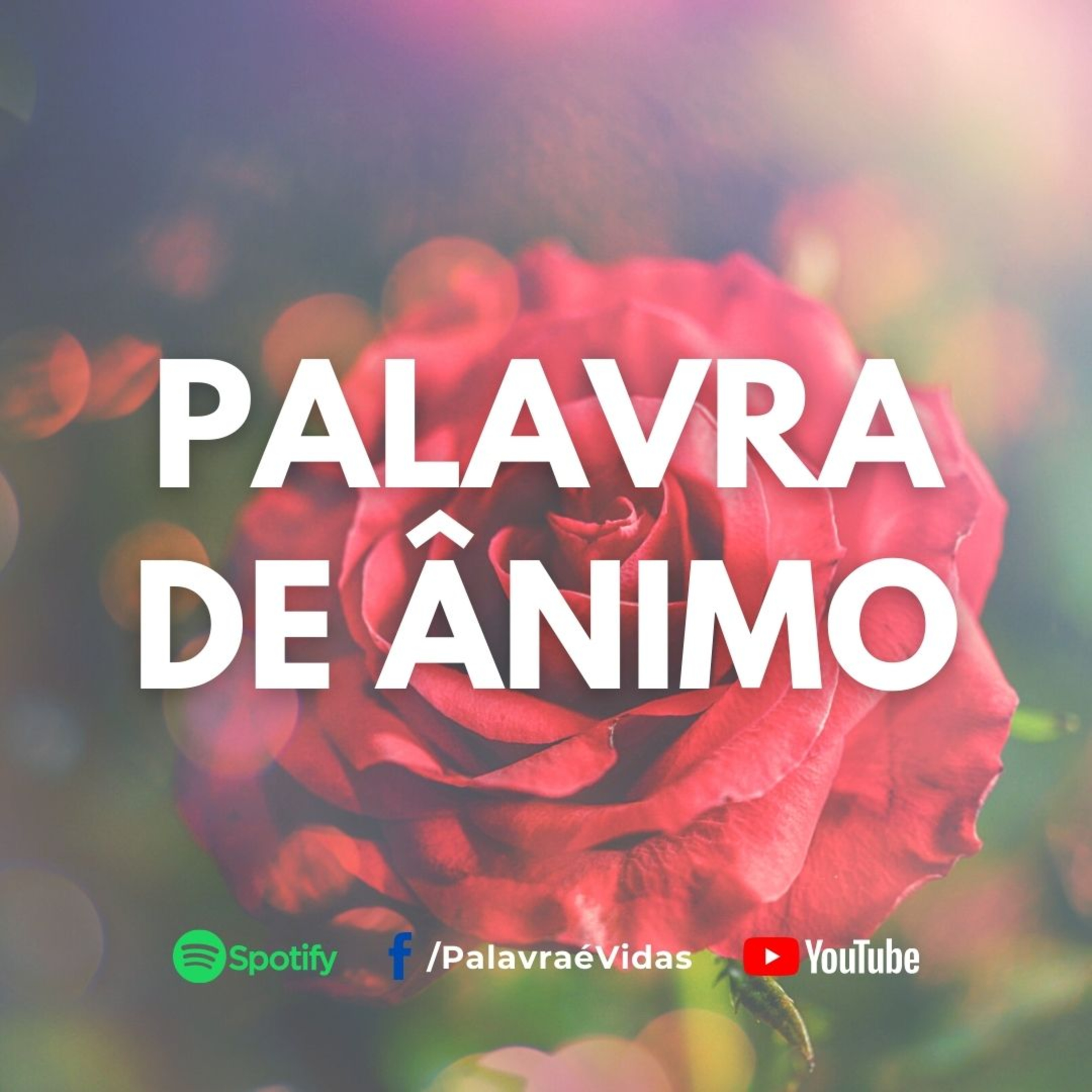 A escolha certa em meio aos problemas e dificuldades - Palavra de Ânimo episode artwork