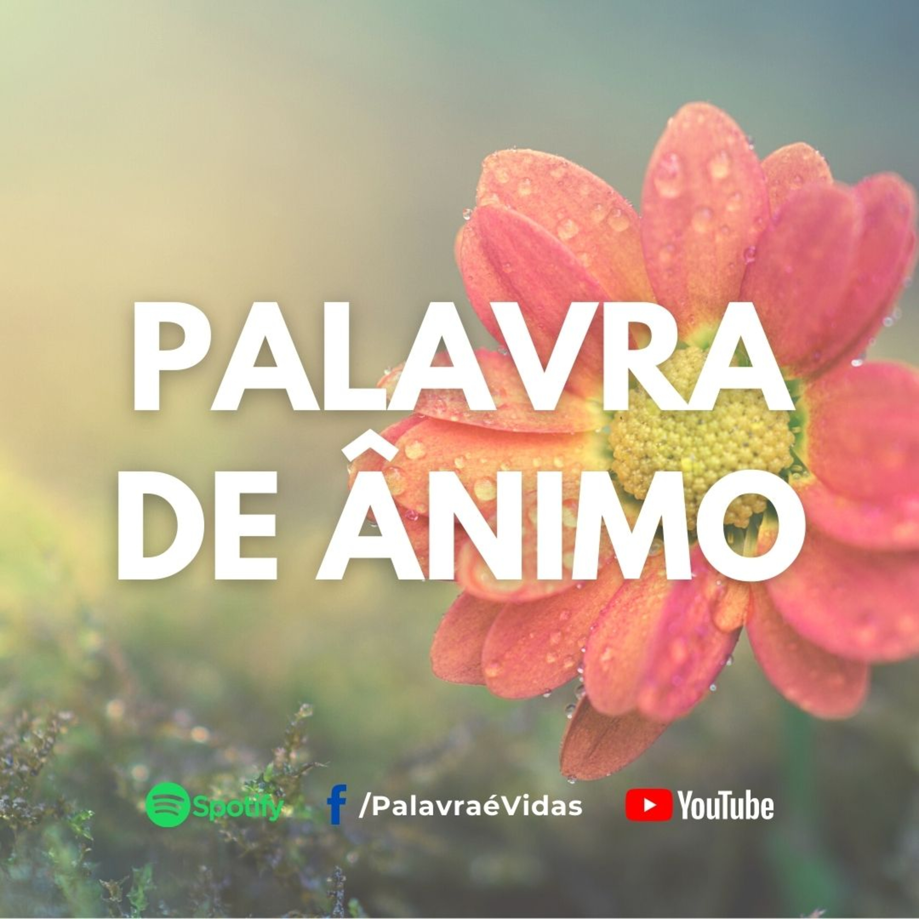 Há esperança para árvore cortada - Palavra de Ânimo episode artwork