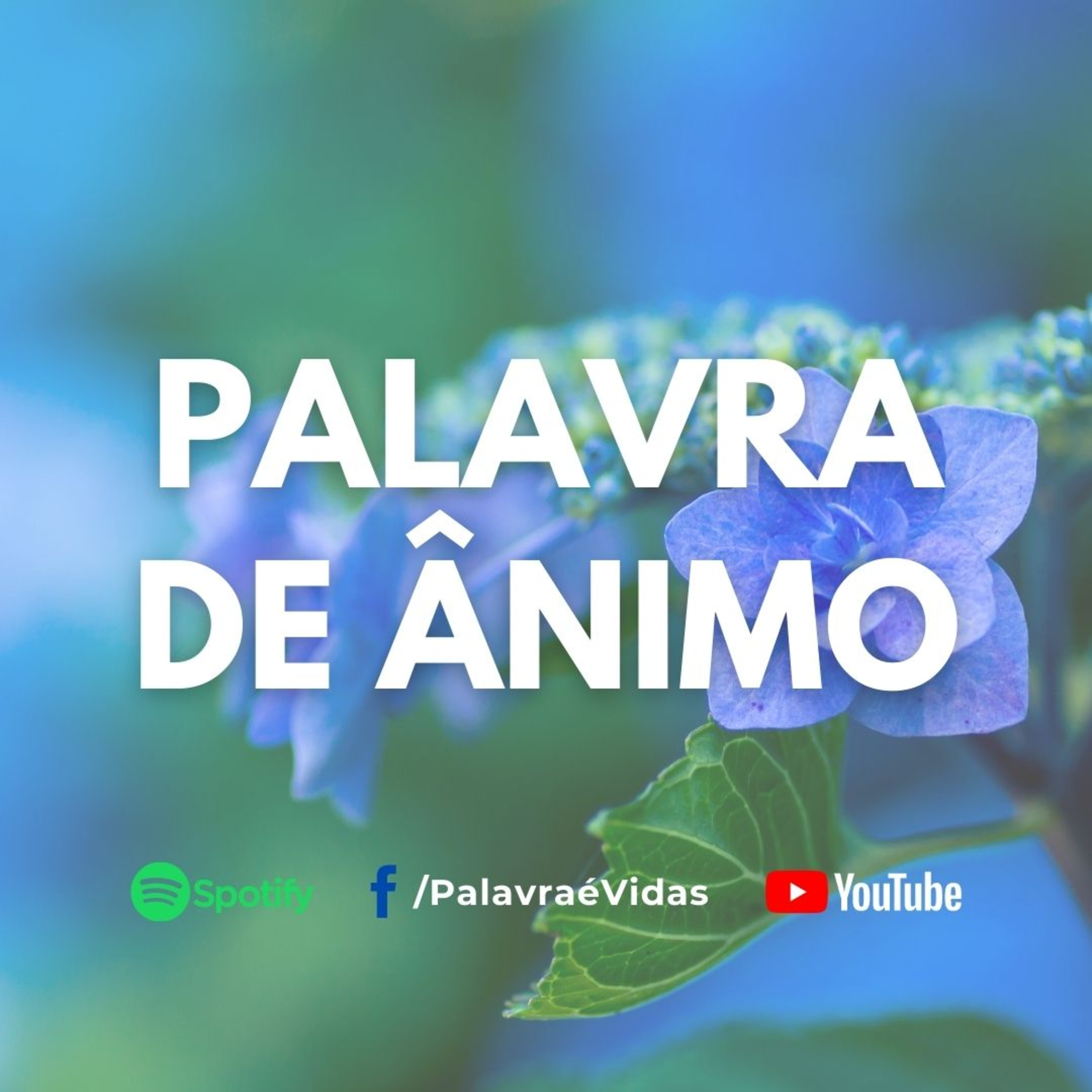 Olhe pelo lado bom das coisas - Palavra de Ânimo episode artwork