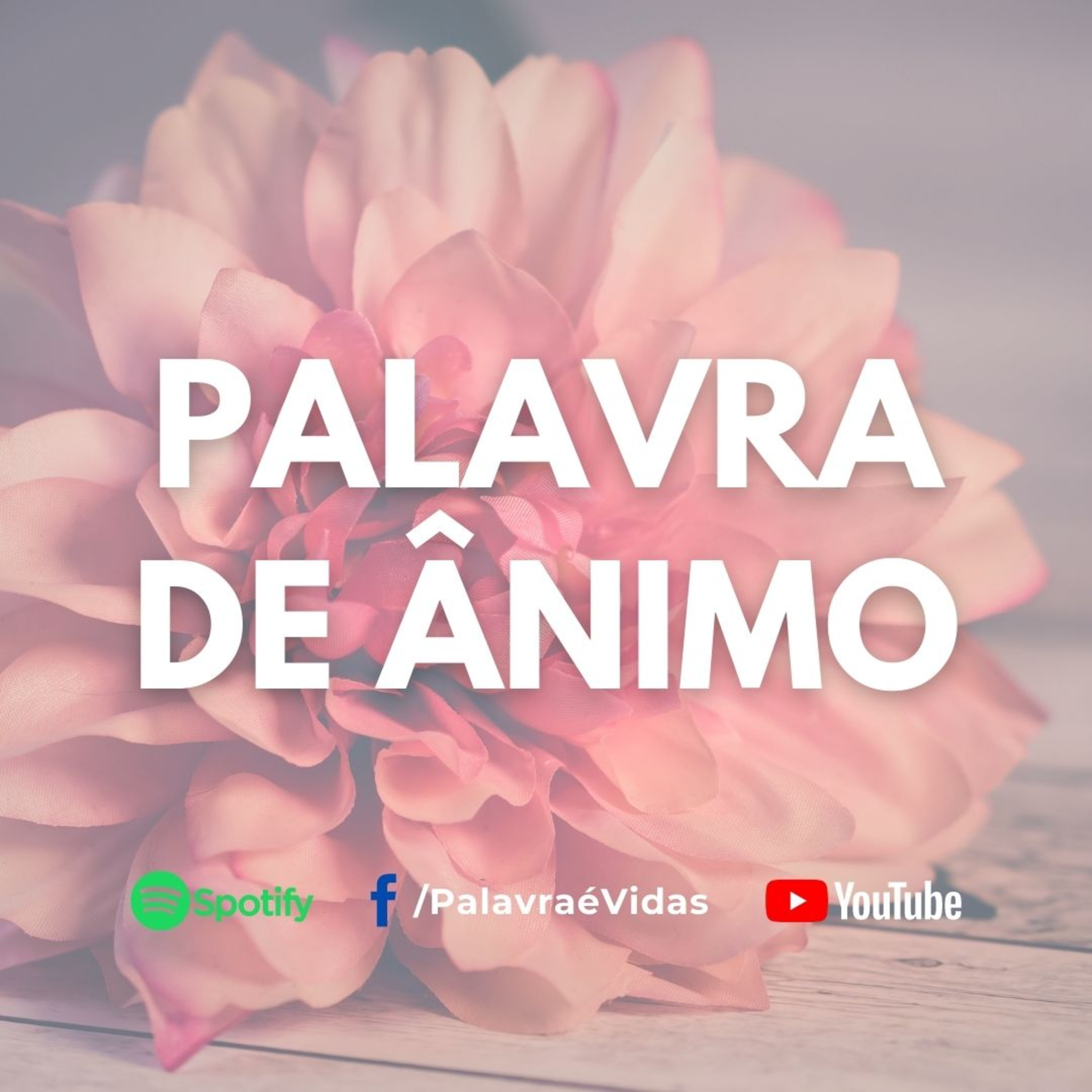 Deus se faz presente e não te abandona - Palavra de Ânimo episode artwork