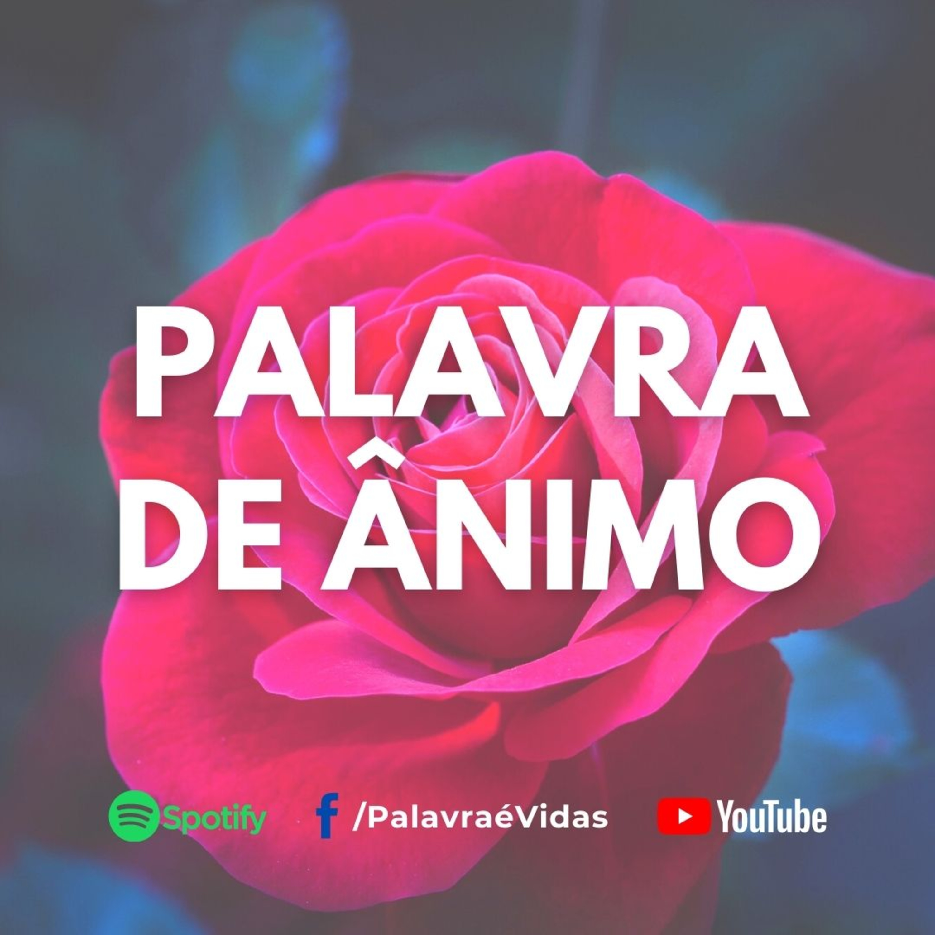 O cair é do homem, mas o levantar é de Deus - Palavra de Deus Hoje episode artwork