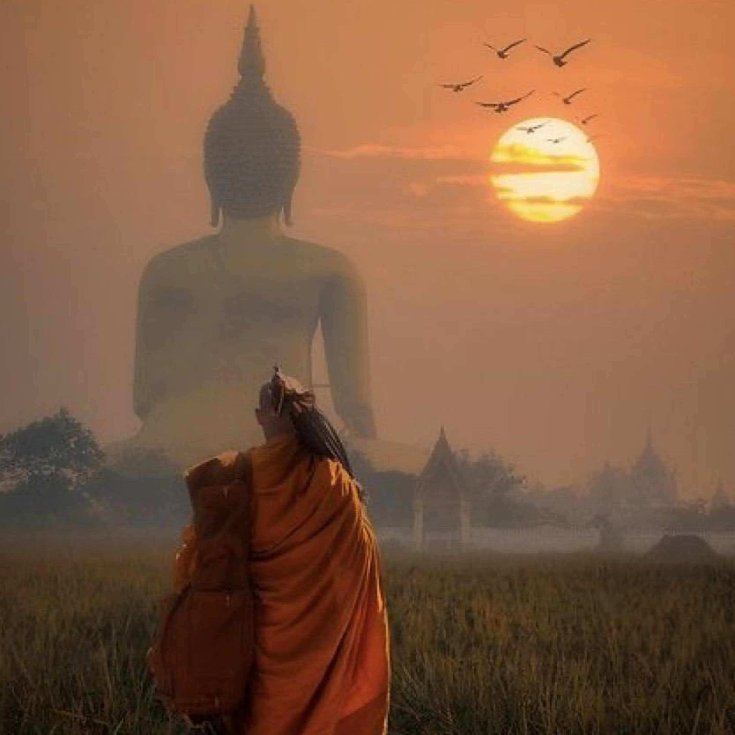พระอานนท์​ พุทธอนุชา ​ตอนที่​ 5(พันธุละเสนาบดี)​ episode artwork