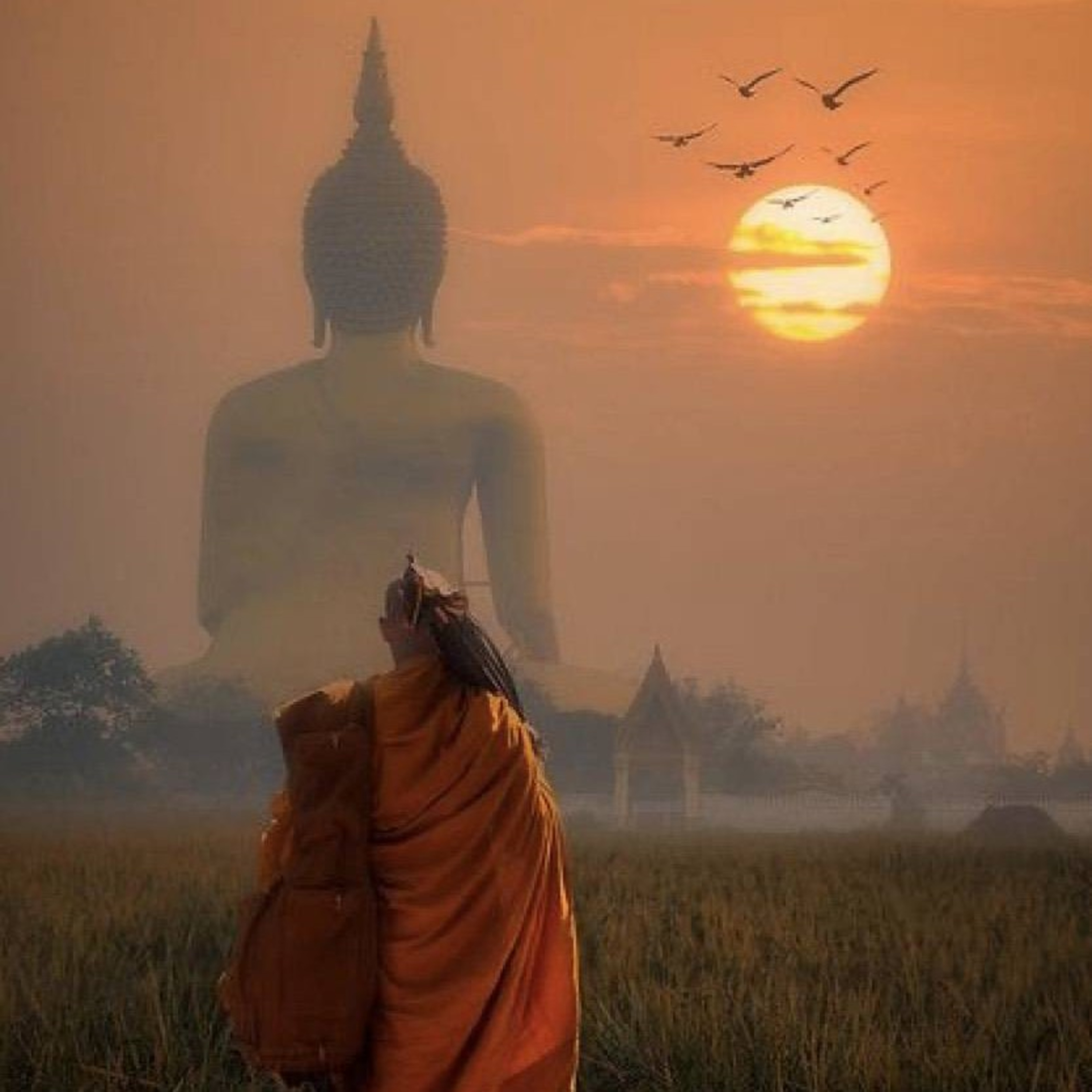 พระอานนท์​ พุทธ​อนุชา​ตอนที่​ 6(สุทัตตะ ผู้สร้างเชตวันมหาวิหาร)​ episode artwork