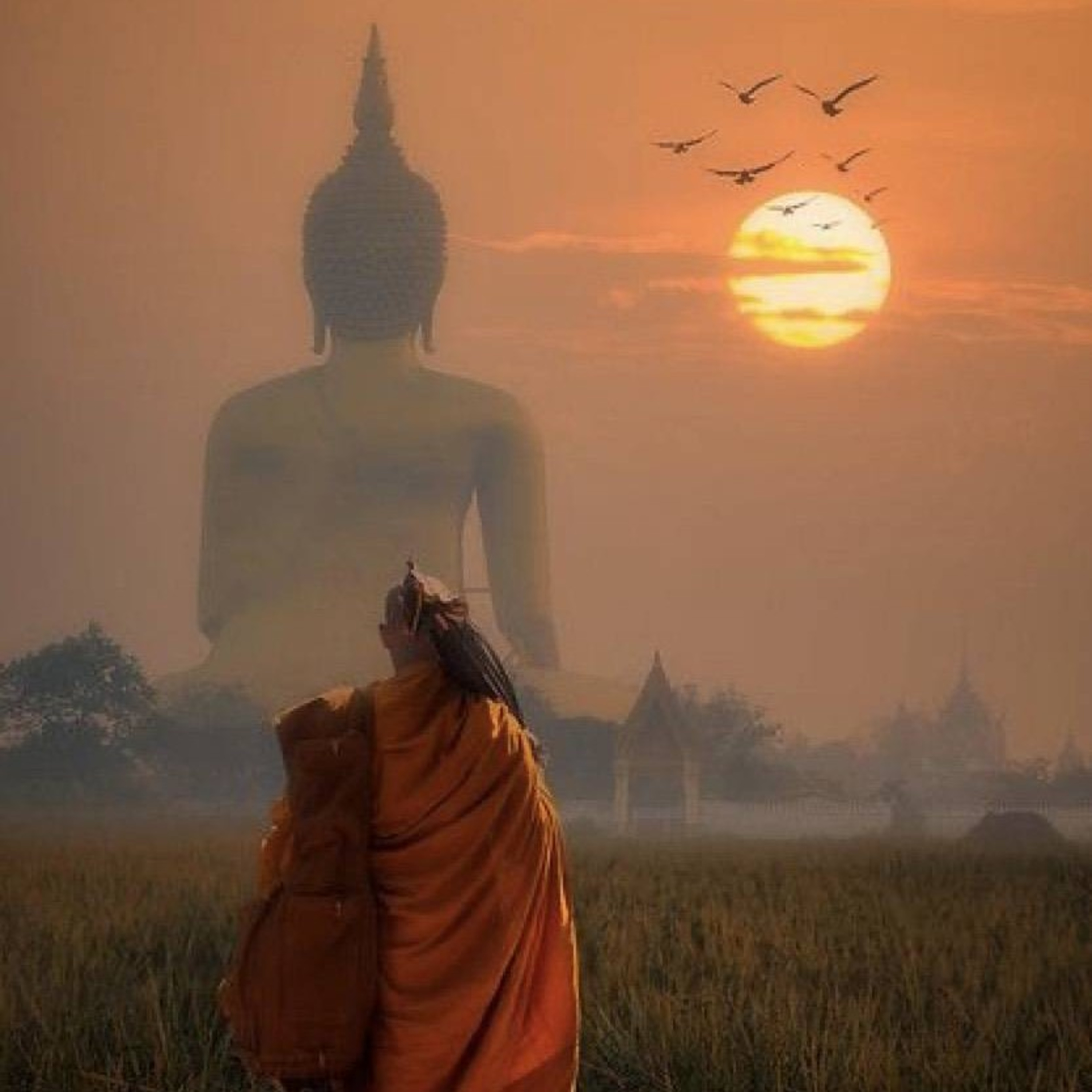 พระอานนท์​ พุทธ​อนุชา (​ตอนที่​8) นางบุญนางบาป episode artwork