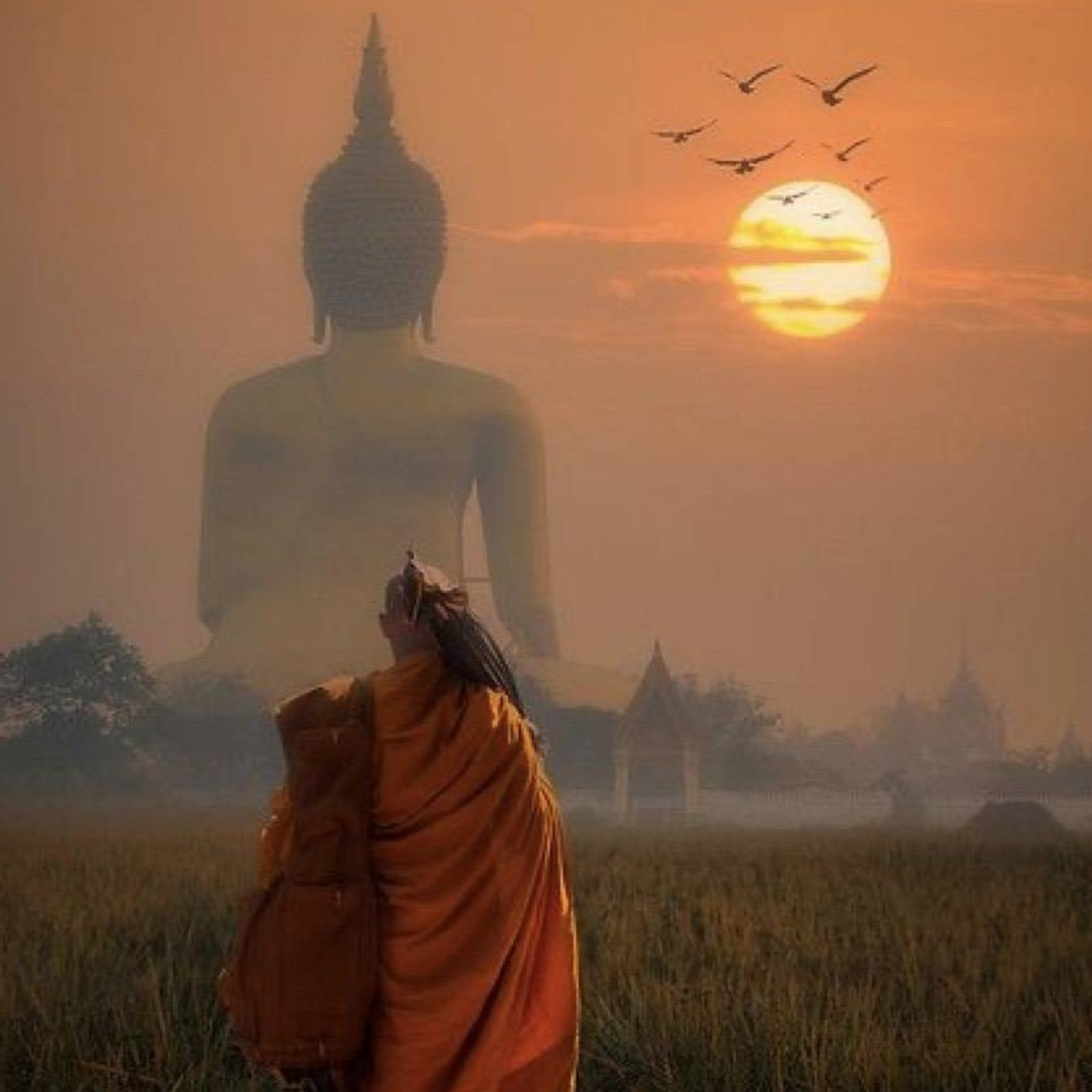 พระอานนท์​ พุทธ​อนุชา ​ตอนที่​9(ดูแลพระอาพาธเสมือนดูแลพระพุทธ​เจ้า)​ episode artwork