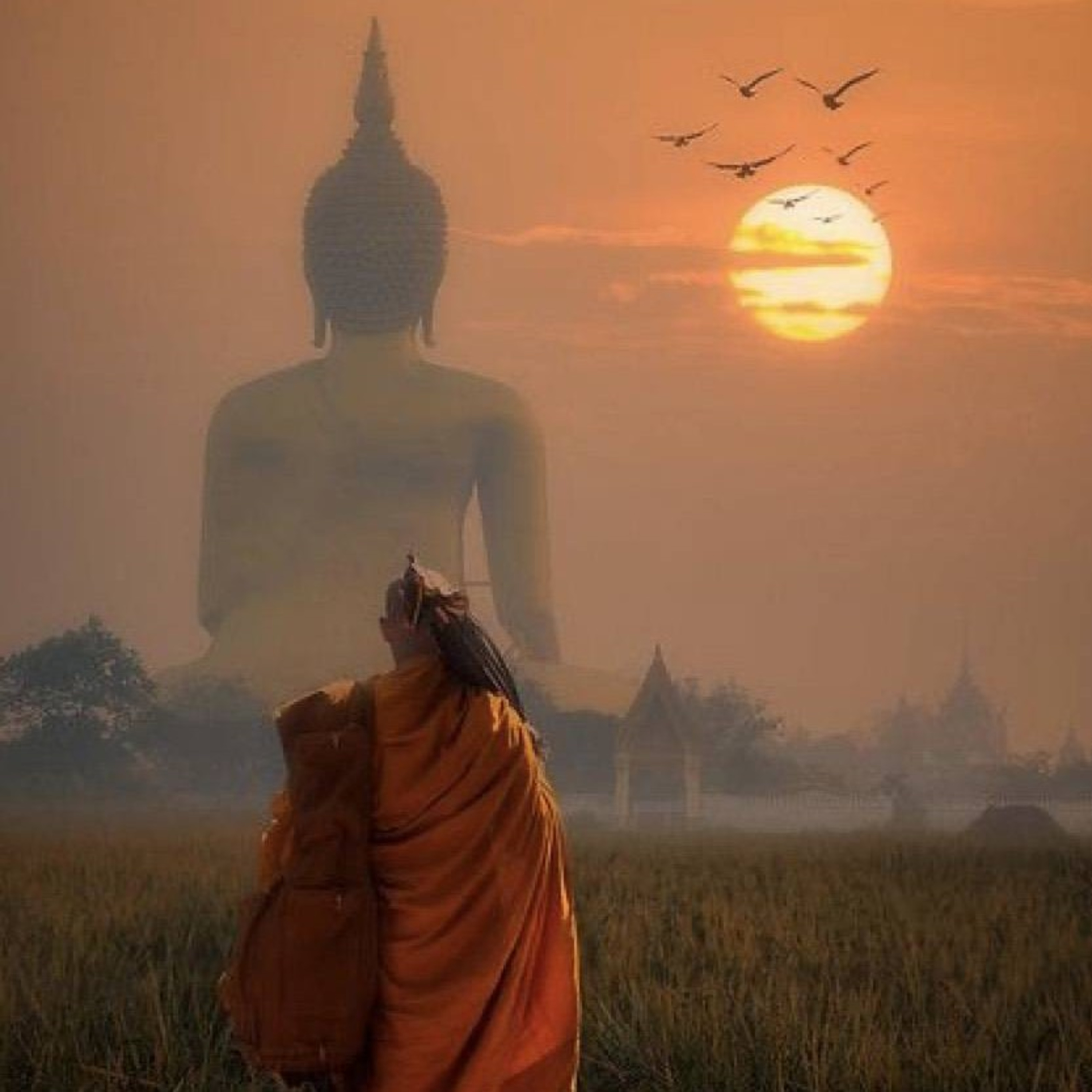 พระอานนท์ พุทธ​อนุชา​ ตอนที่ 10 (ตอนจบ + บุพพูปการของพระอานนท์/ความอัศจรรย์แห่งธรรมวินัย)​ episode artwork