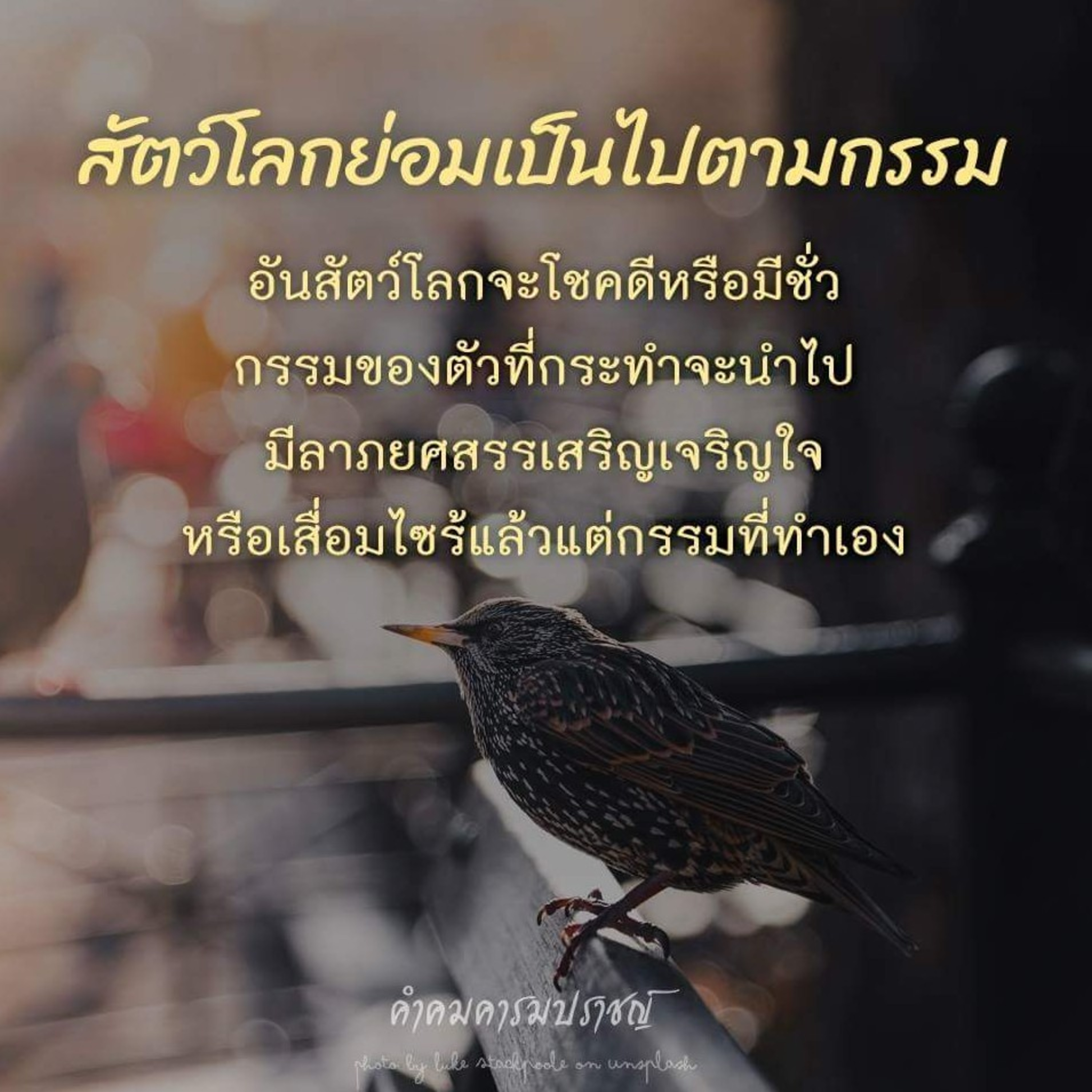 Case study :ทำไมต้องทำบุญ7วัน/50วัน/100วันด้วย episode artwork