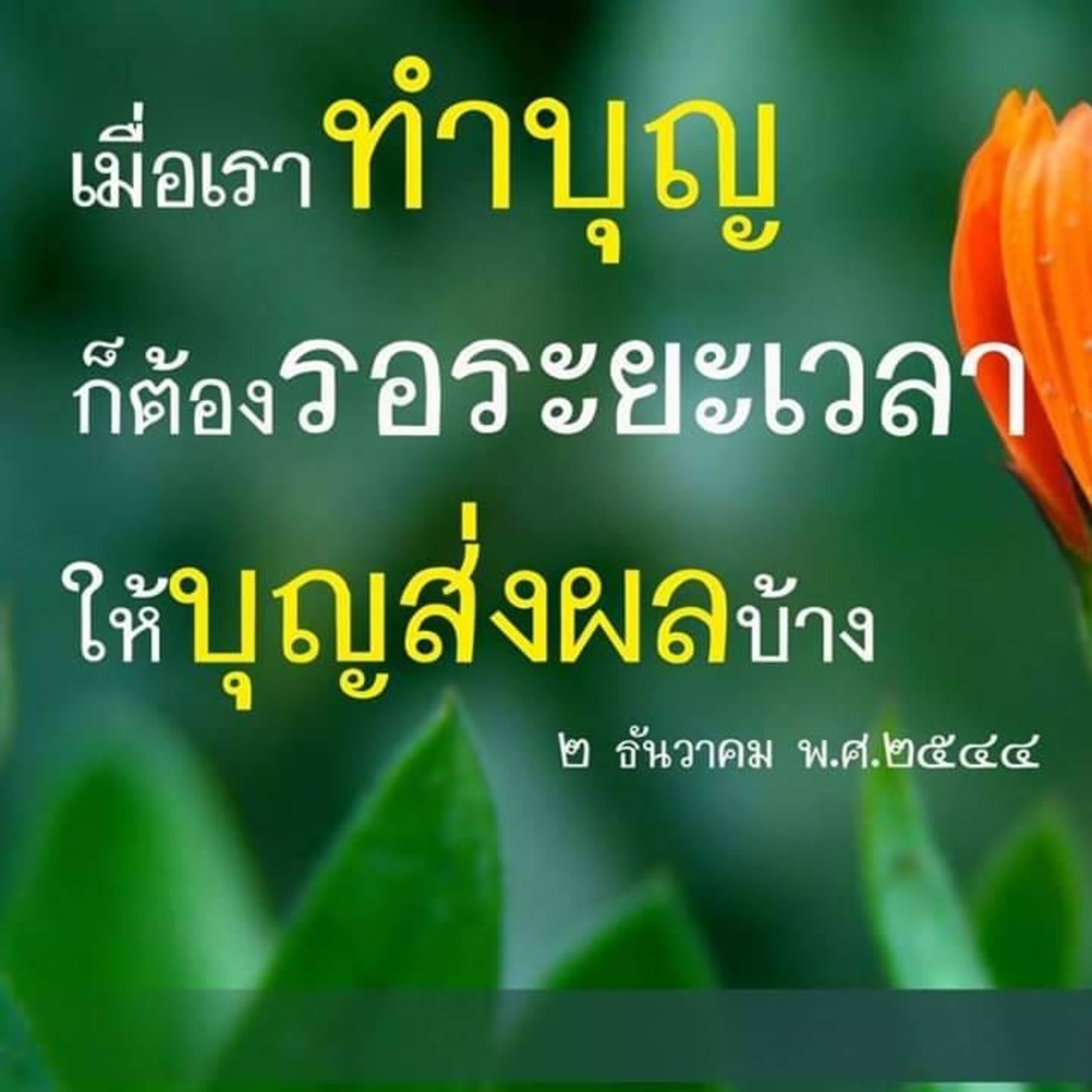 Case study :ชื่อนั้น สำคัญไฉน episode artwork