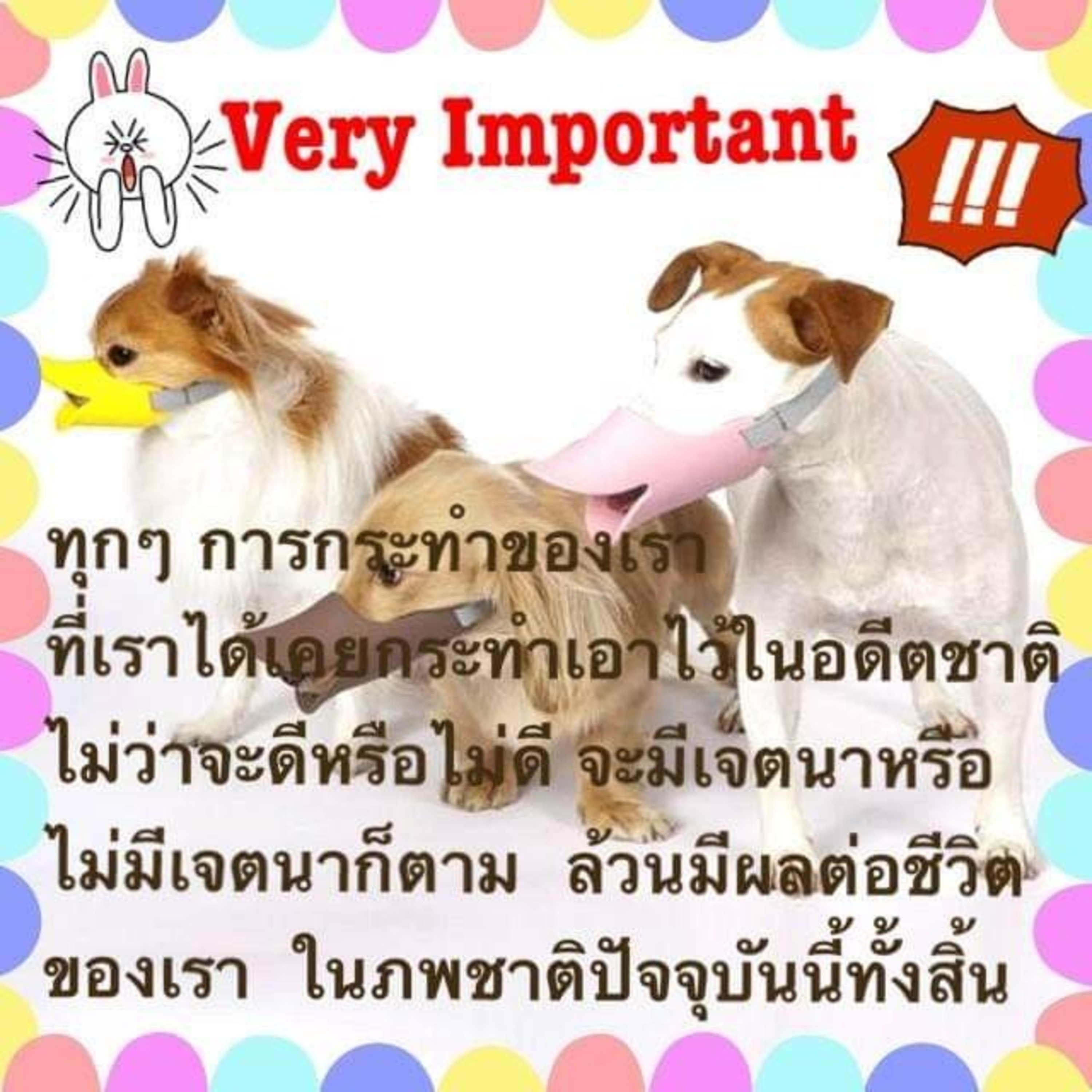 Case study​:ขับรถชนคนตายเพราะความแค้นข้ามชาติ episode artwork