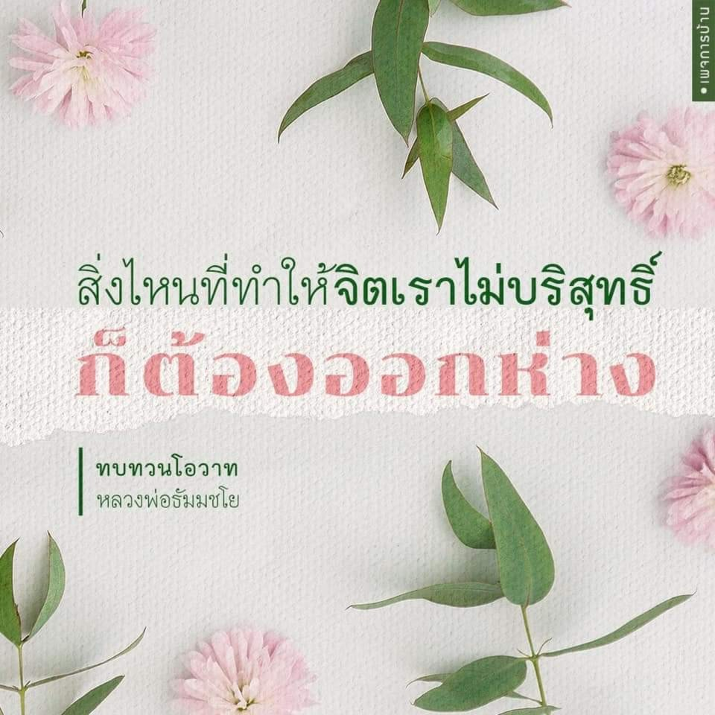 Case study​: สาบานว่าจะไม่เล่นการพนันอีกแล้ว episode artwork