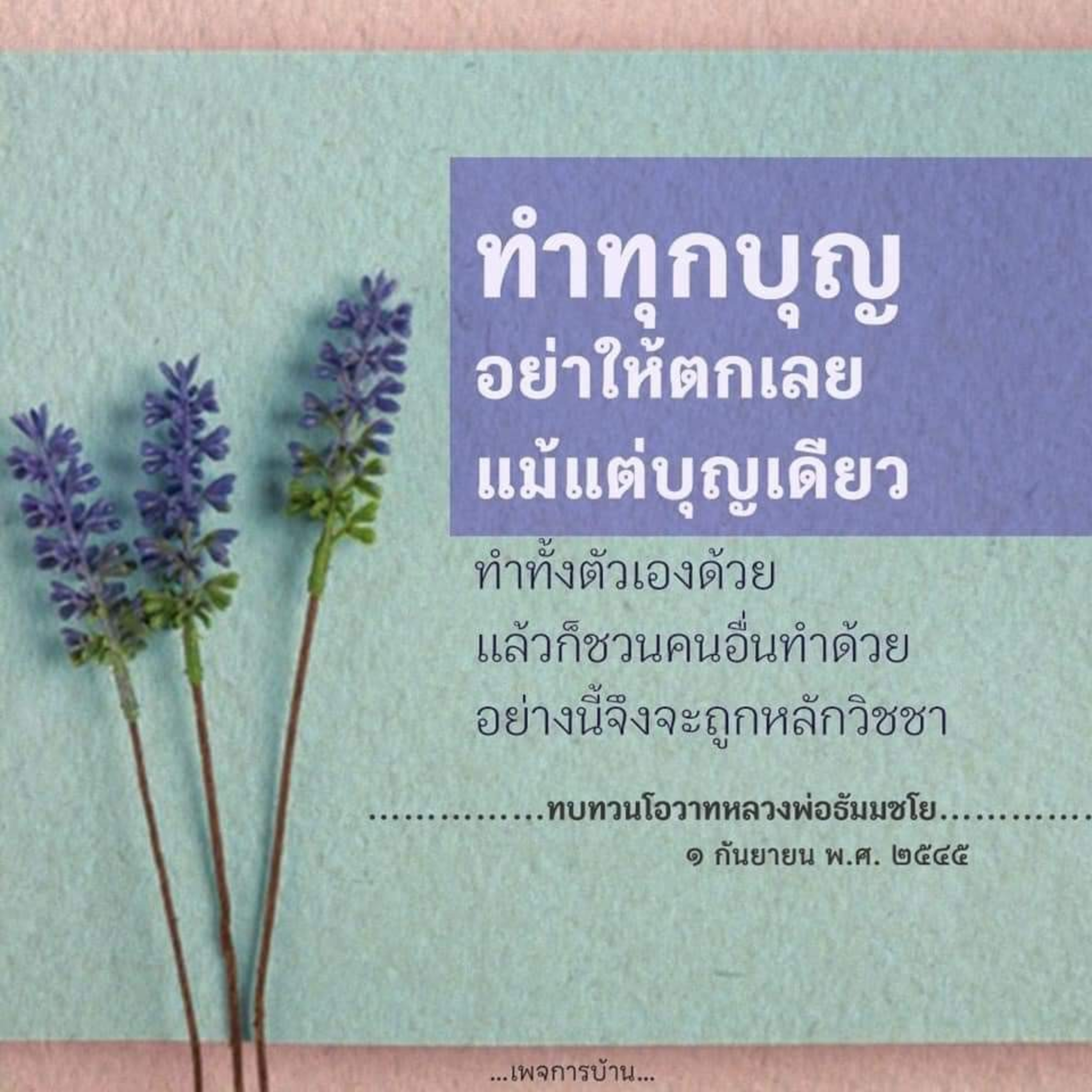 Case study:สัมผัสที่6 episode artwork