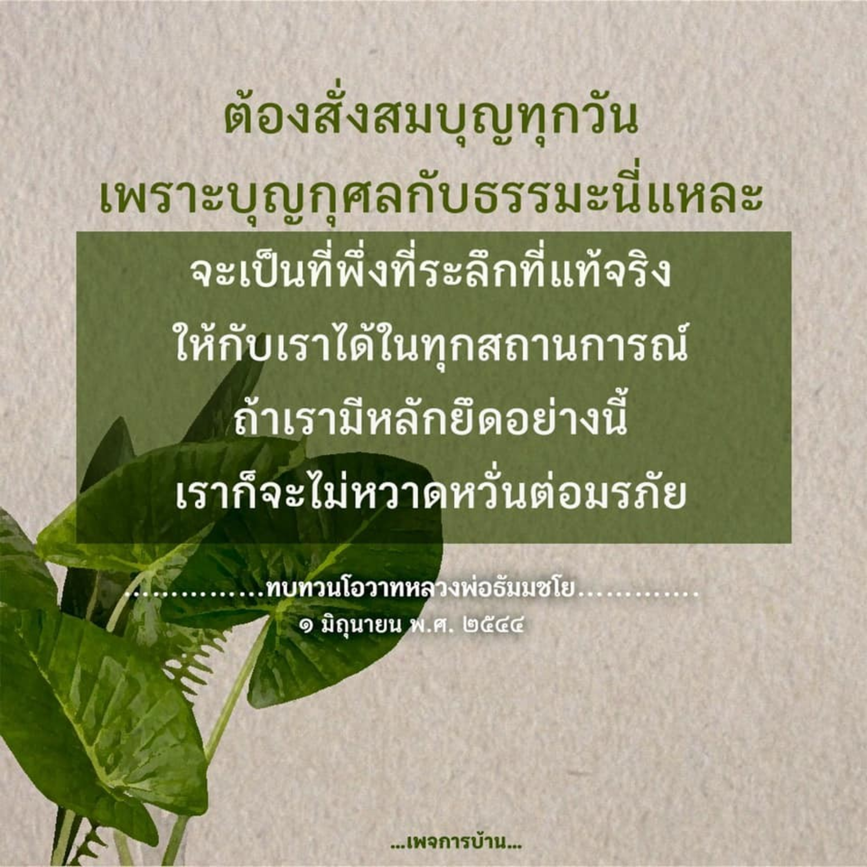 Case study​:รุ่งแล้วกลับร่วง  episode artwork