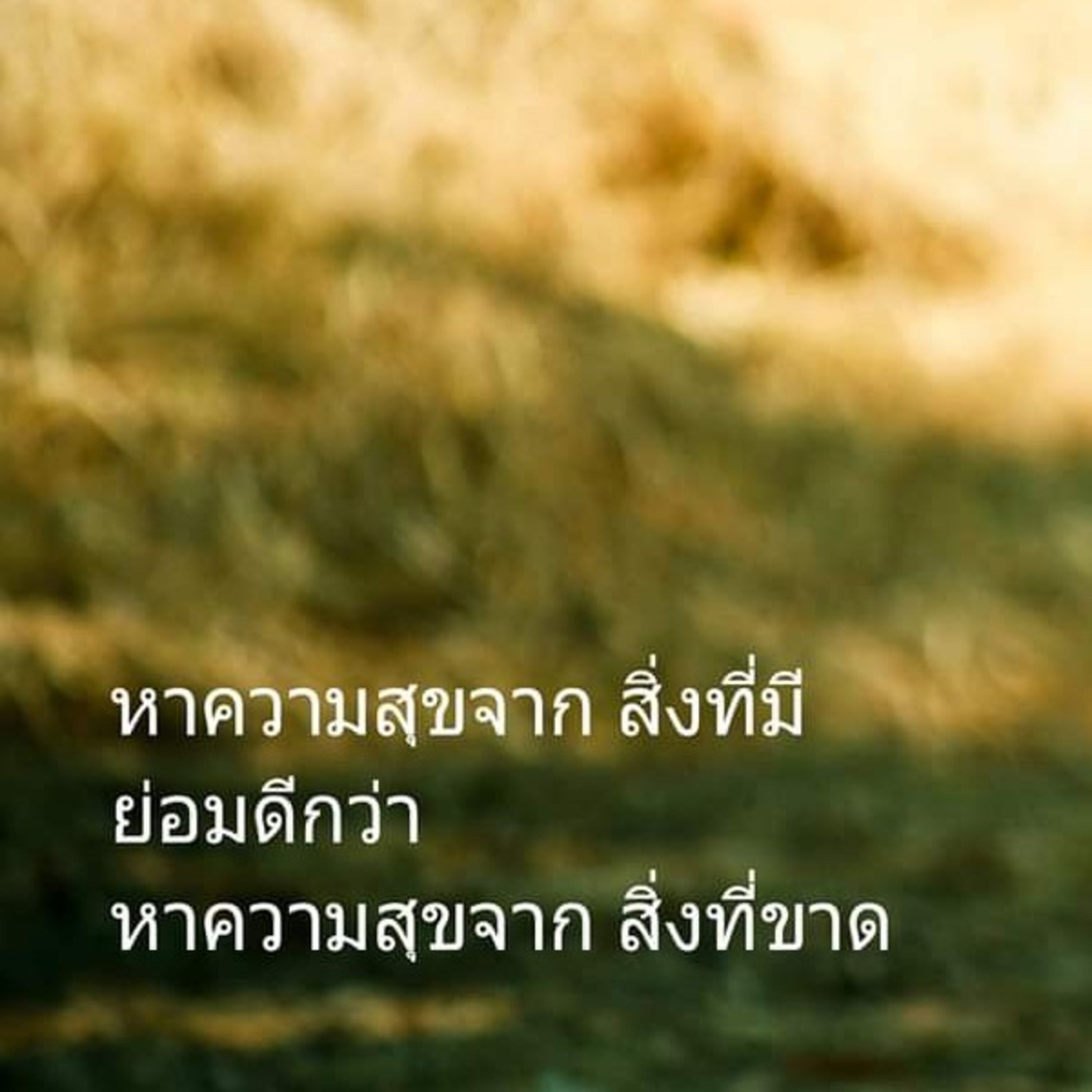 Case study:วิบากกรรมของพ่อผู้เสียสละ episode artwork