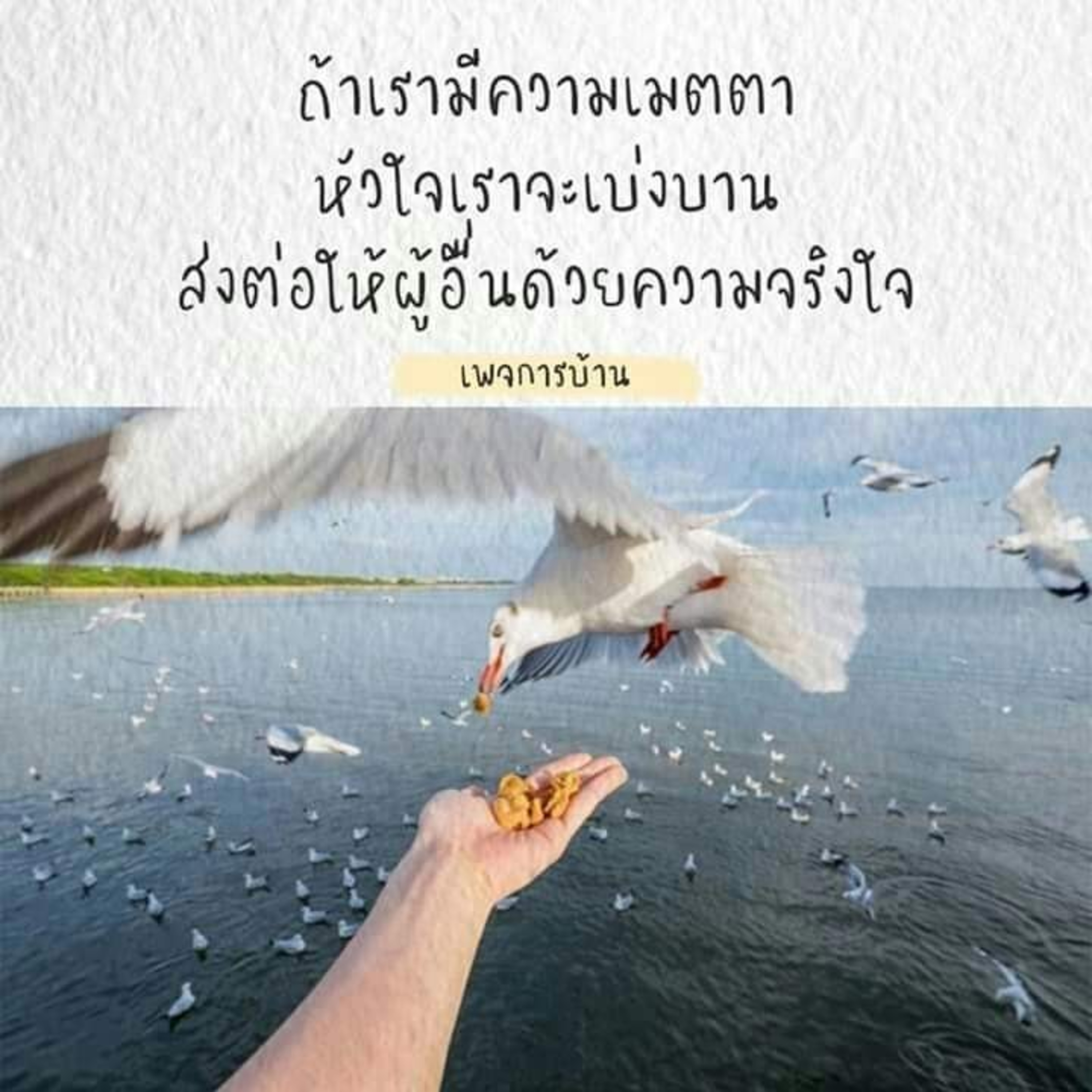 Case study​:ไม่ประมาทในวัย episode artwork