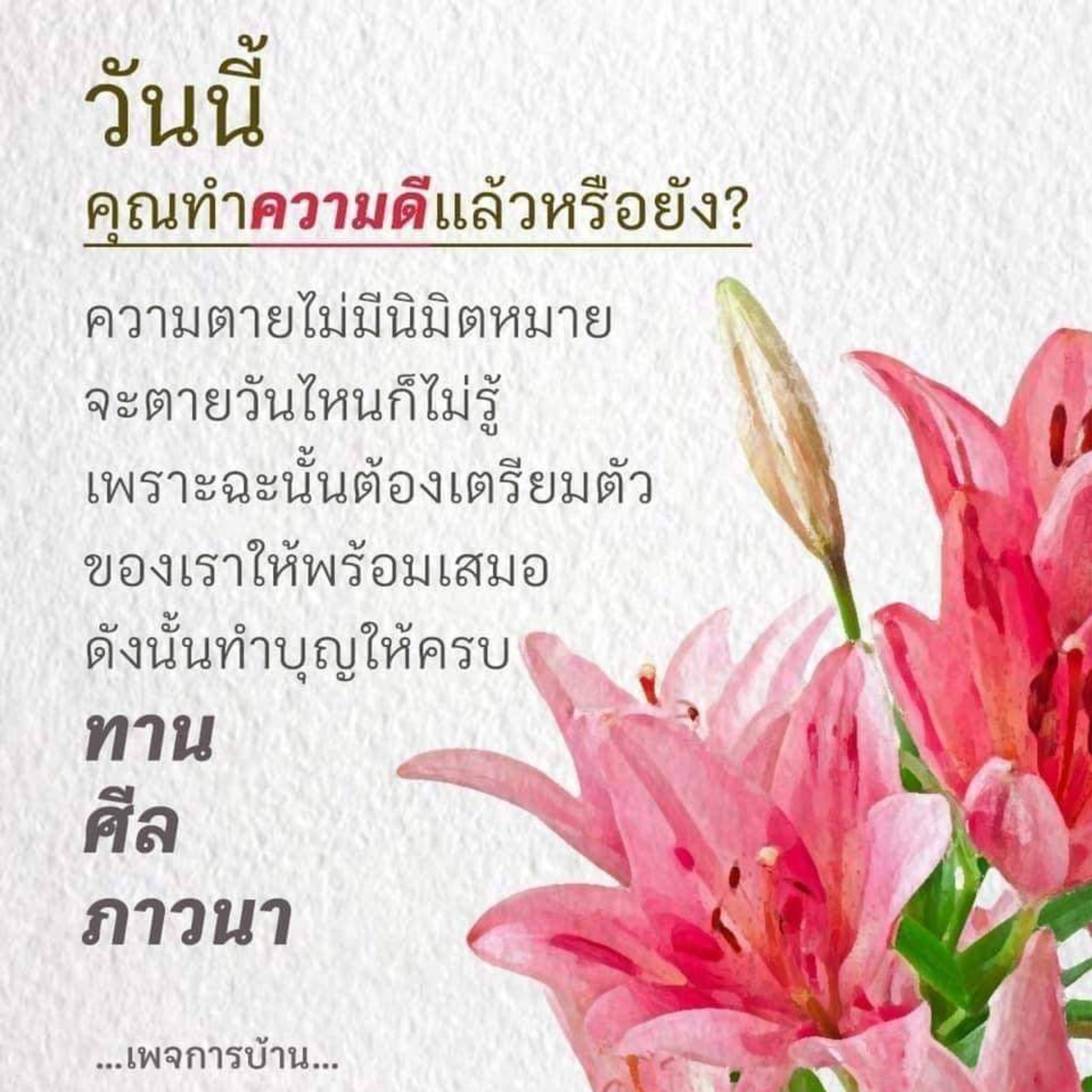 Case study :ปากแหว่ง เพดานโหว่ episode artwork