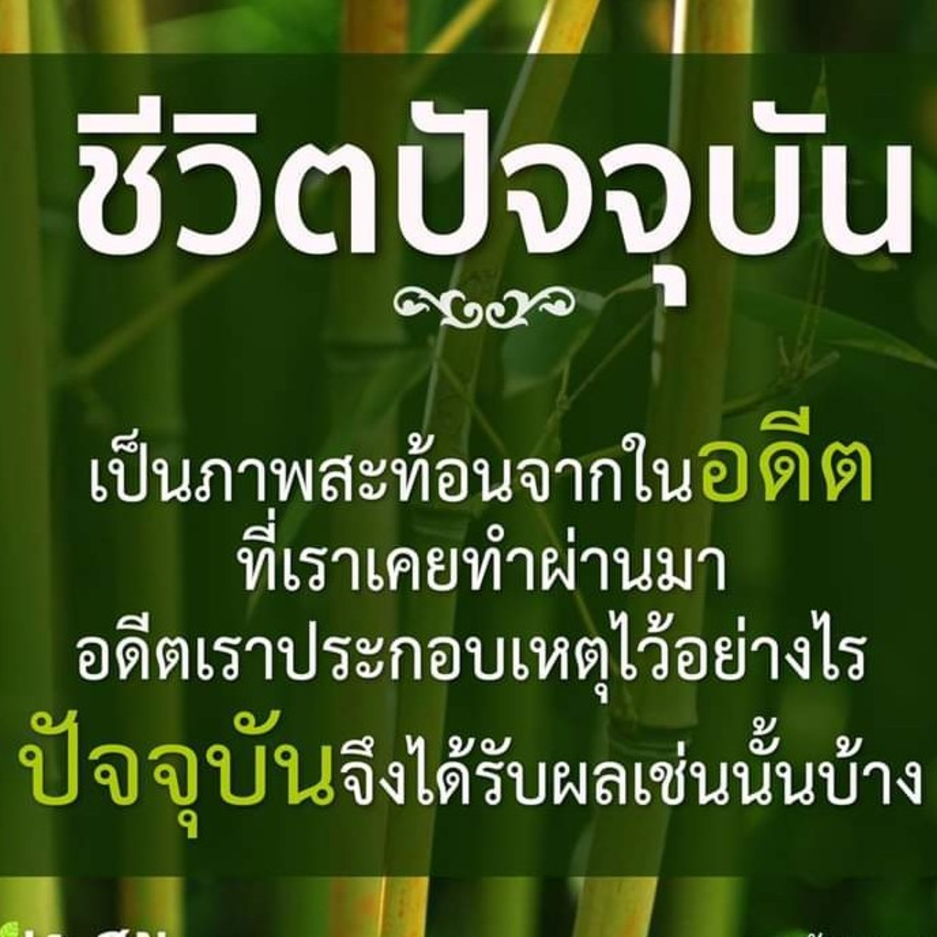 กลุ้มใจมีลูกติดยา episode artwork