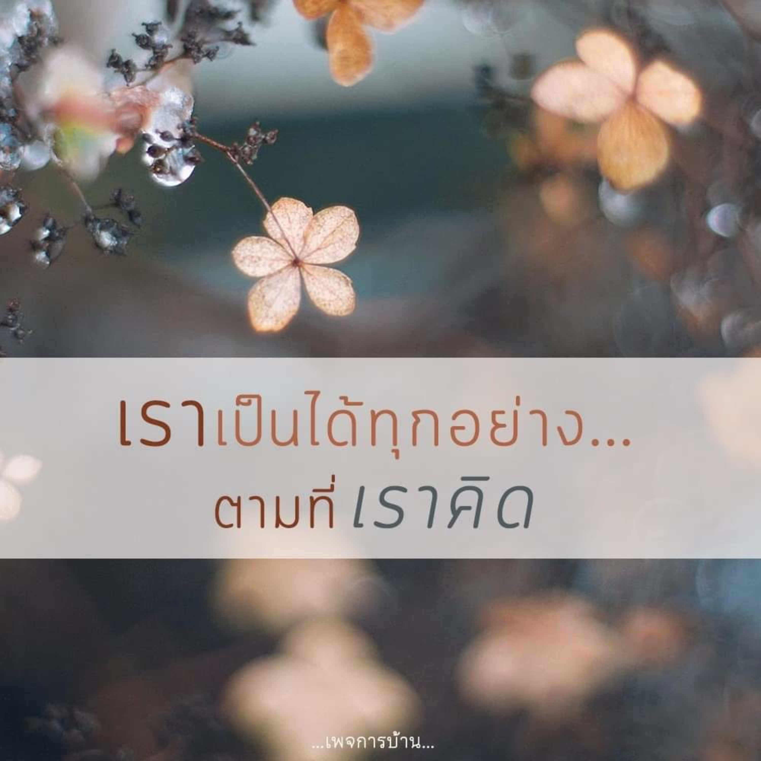 กรรมของคนตัดแต่งบัญชี episode artwork