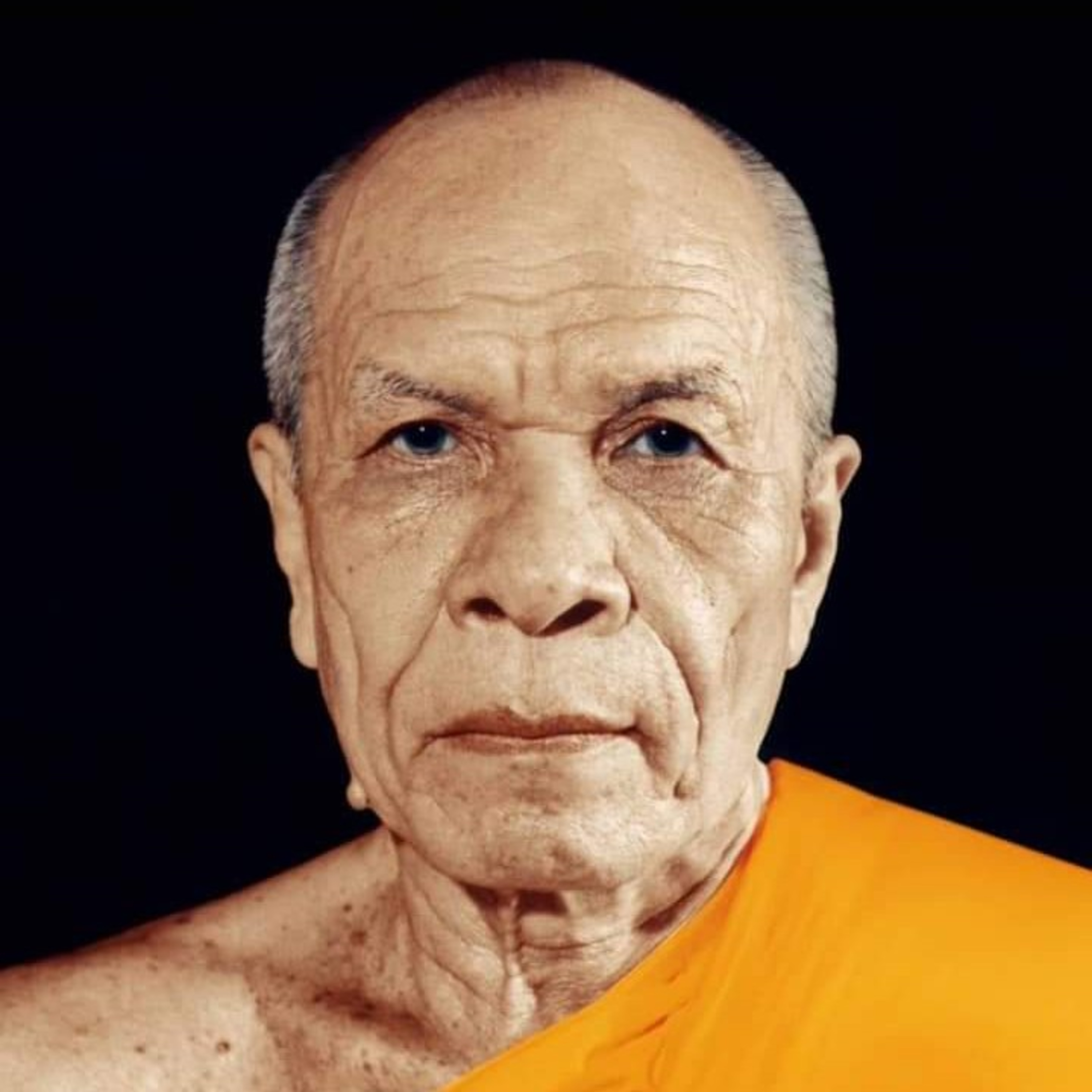 พระธรรมเทศนา หลวงปู่วัดปากน้ำ ภาษีเจริญ คำสอน " จริงเท่าชีวิต"  episode artwork