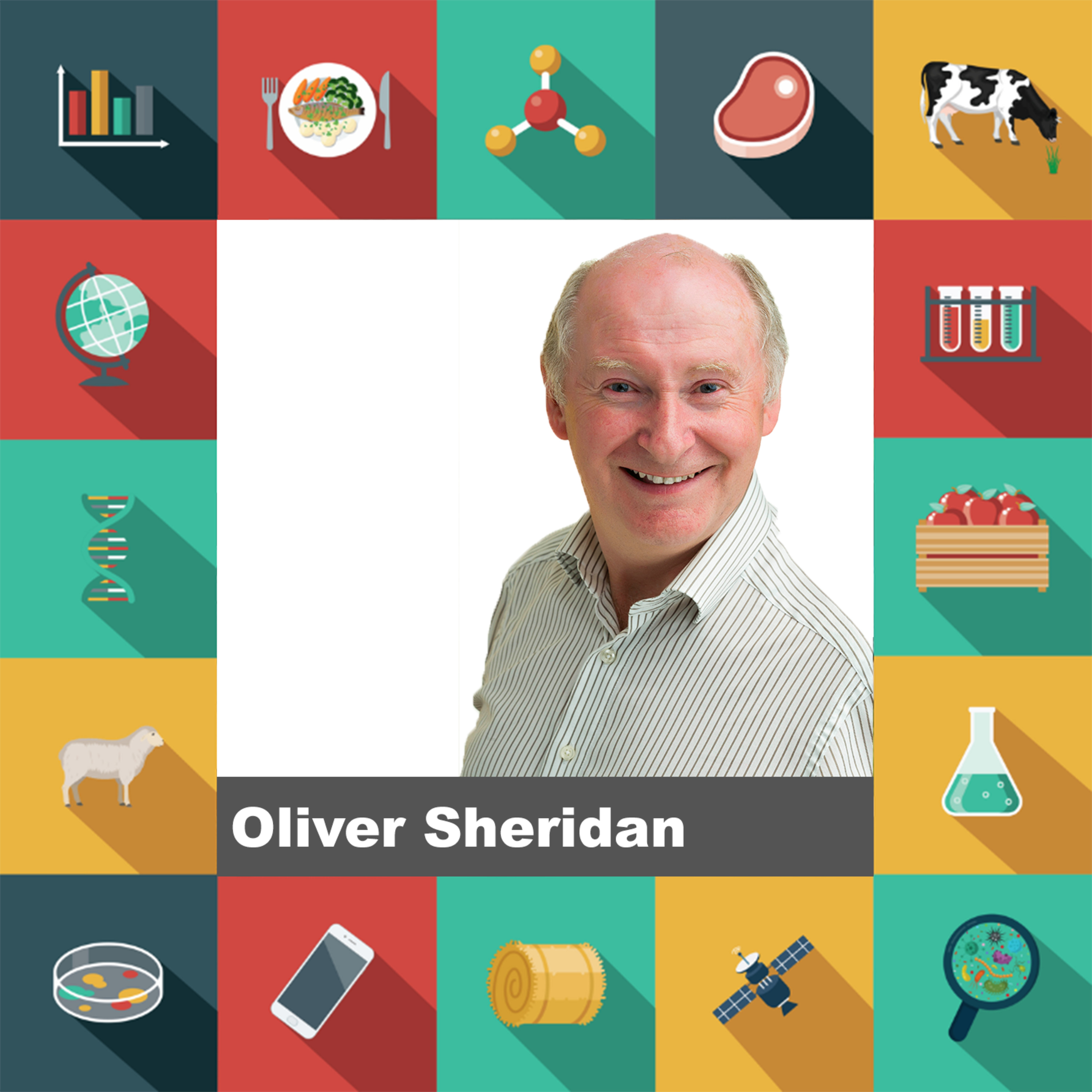 Ten: Developing Birch as a Commercial Forestry Species 