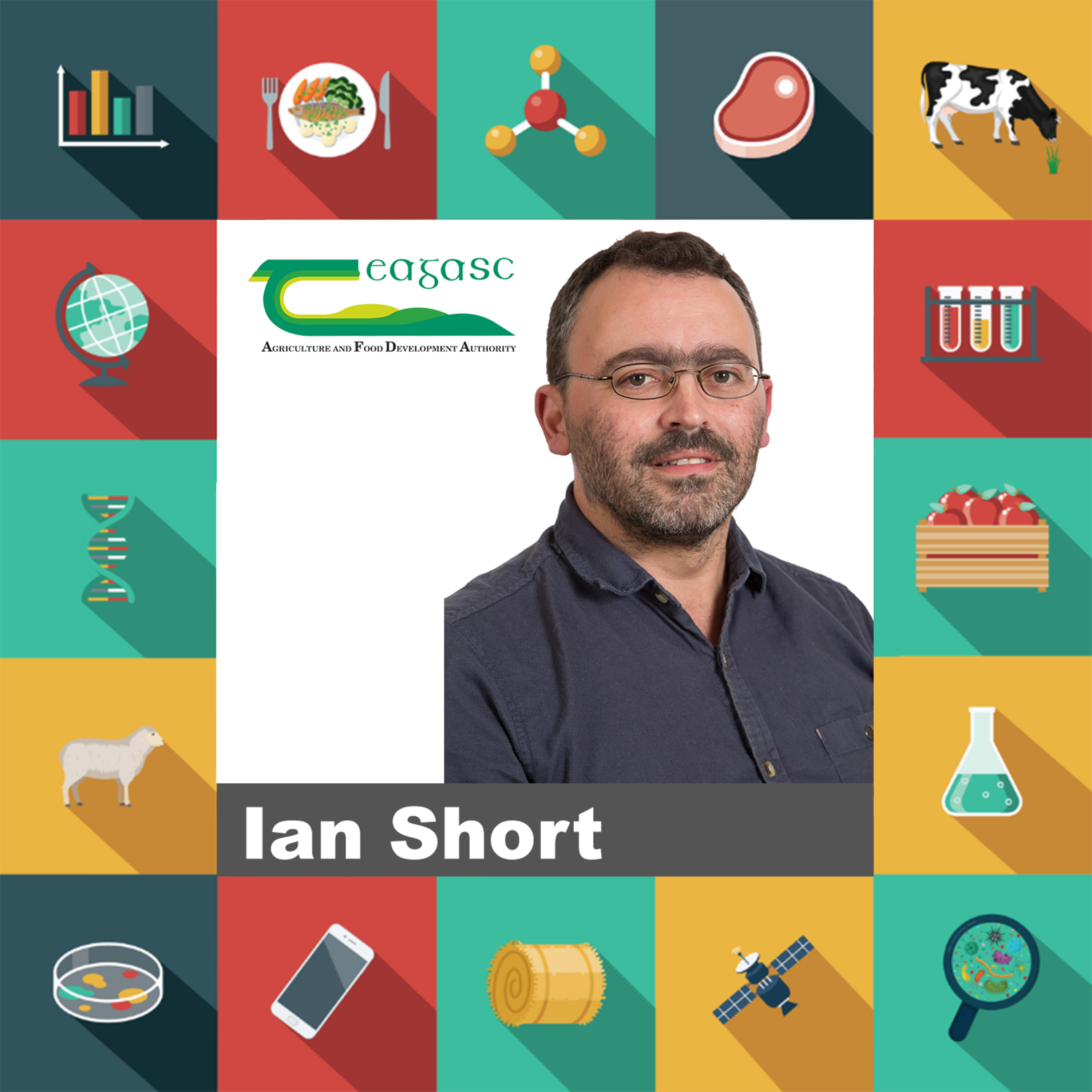 Eleven: Broadleaf Tree Plantations Increasing in Ireland 