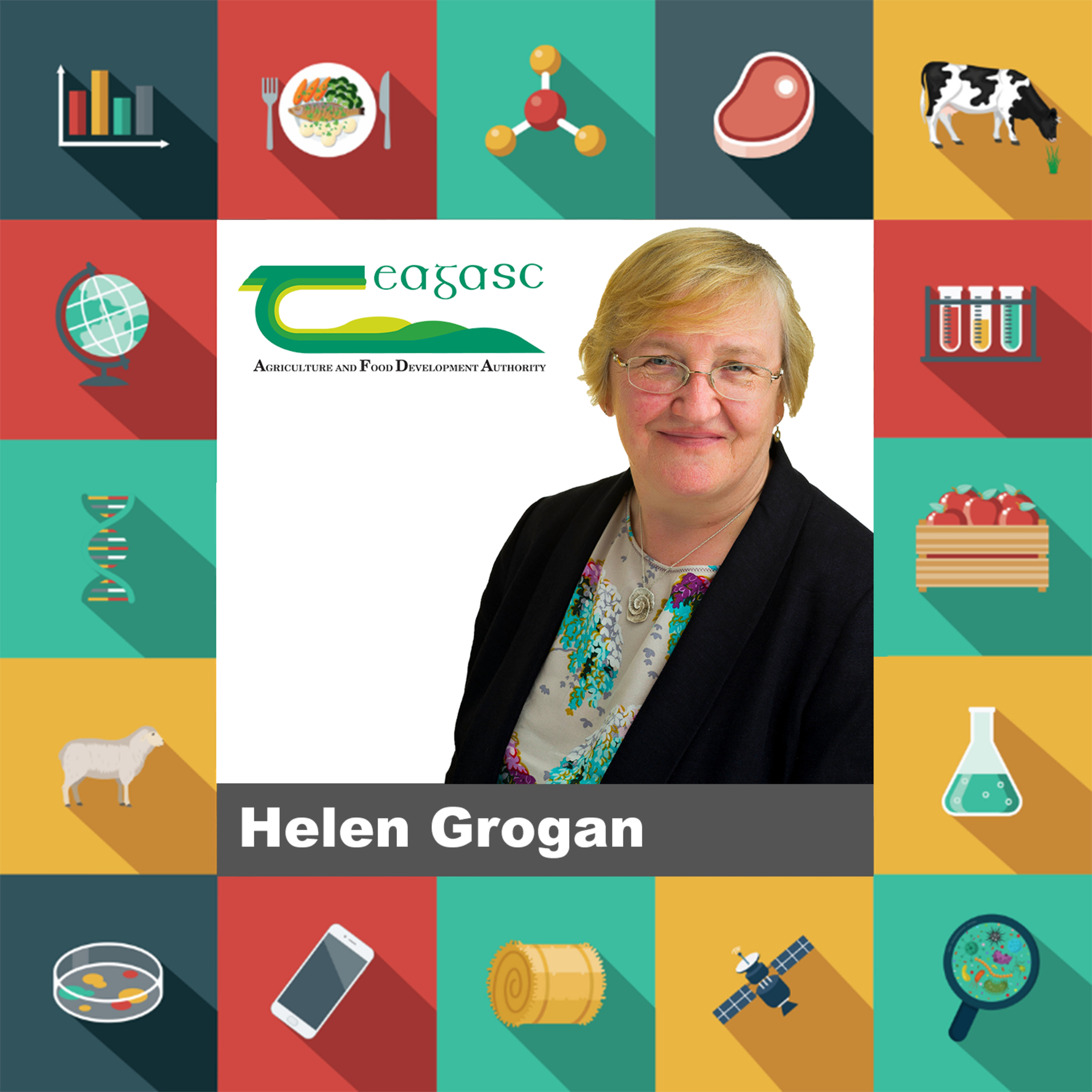 Thirteen: Protecting the Health of Ireland's Plants 