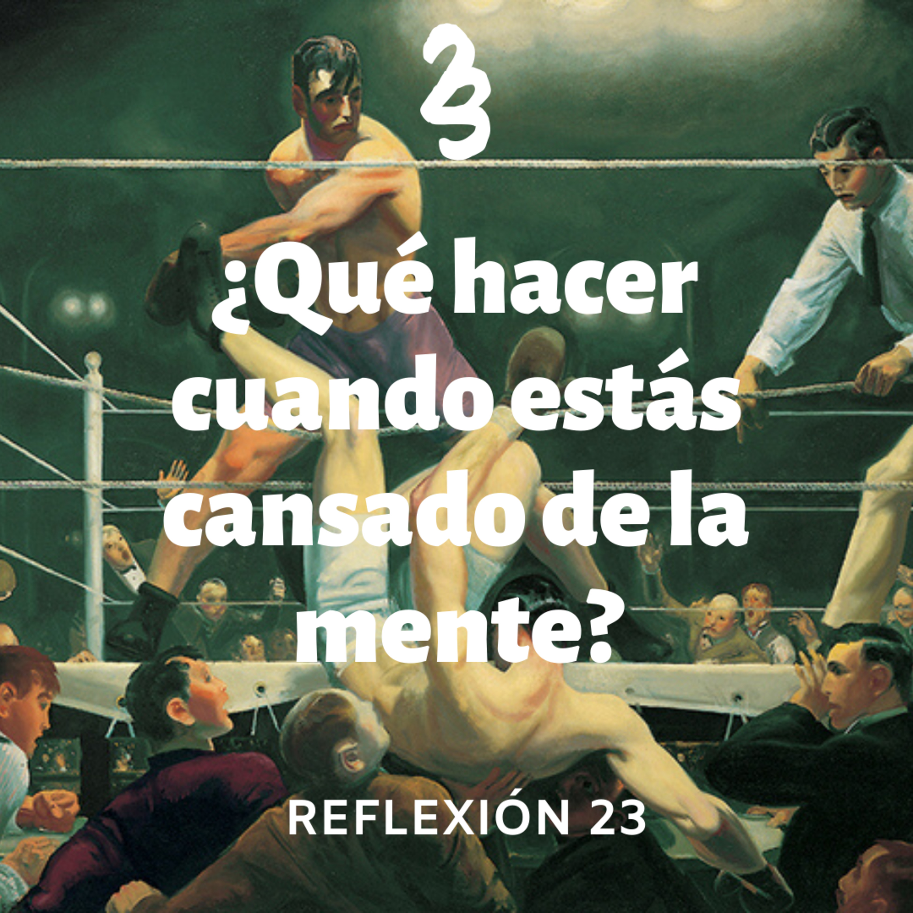 Reflexión 23