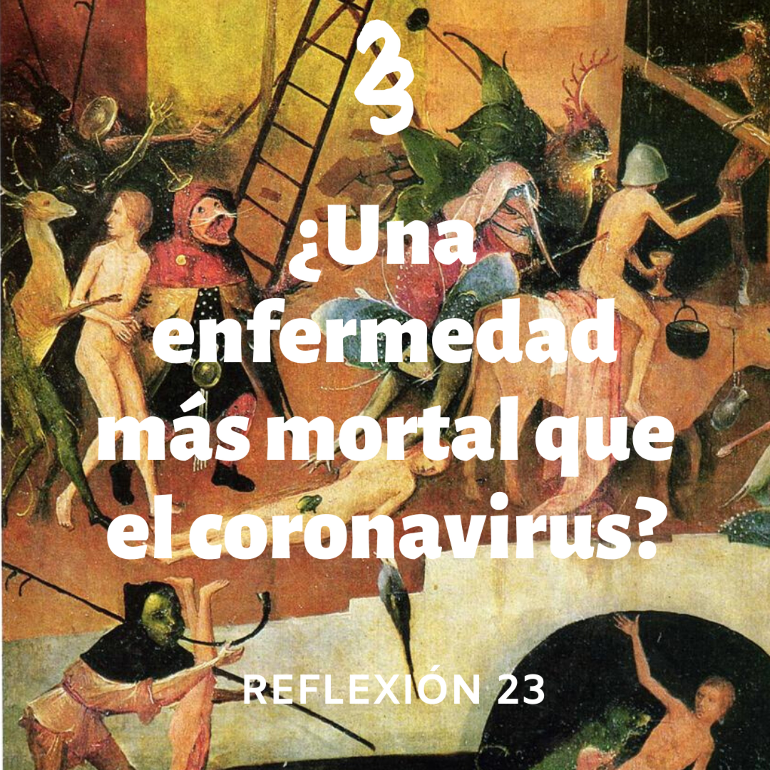 Reflexión 23