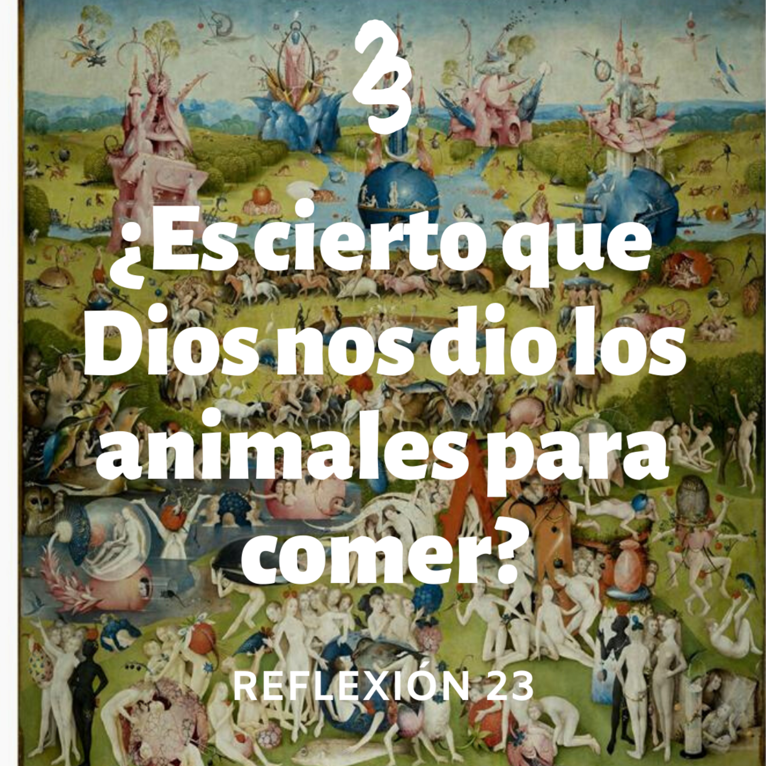 Reflexión 23