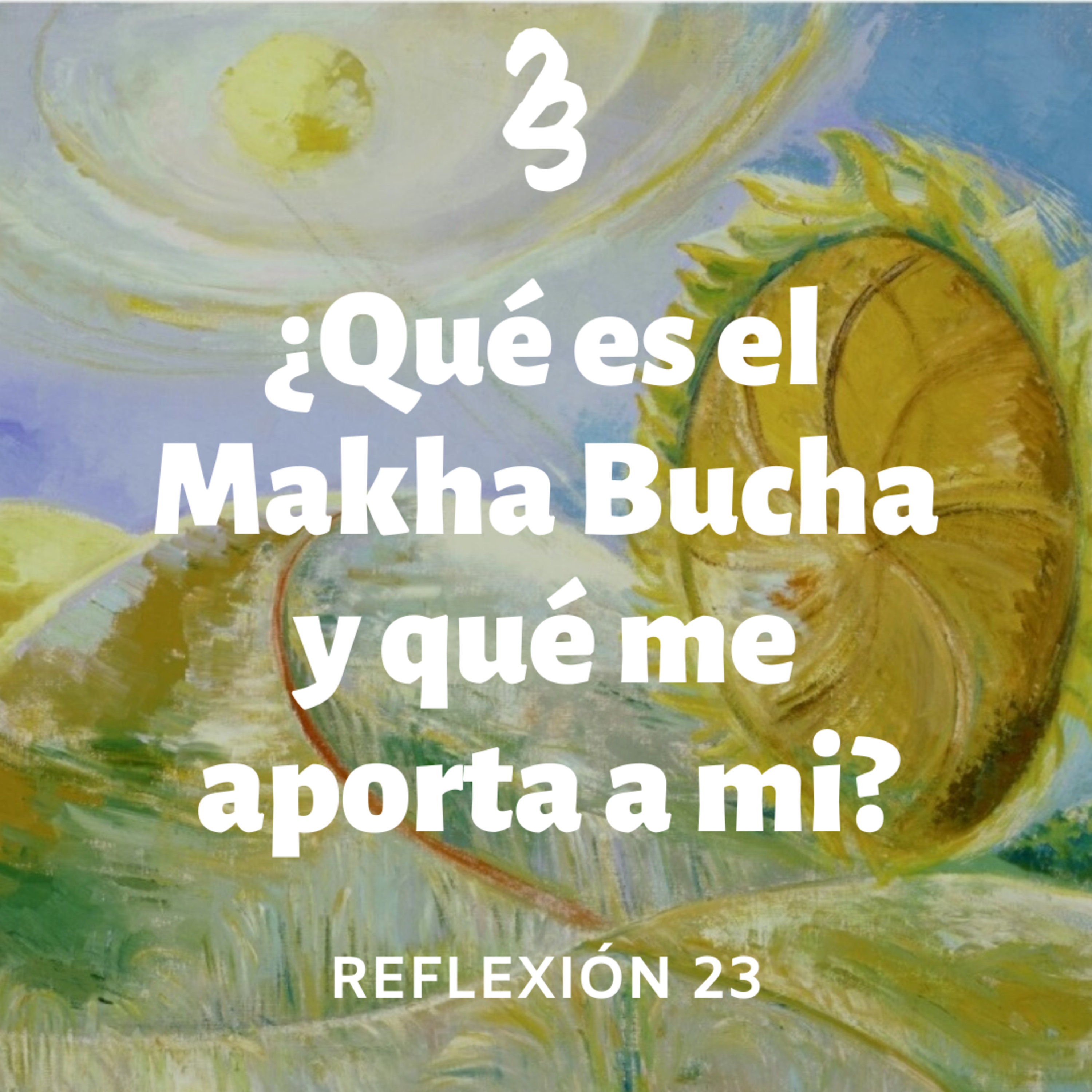 Reflexión 23