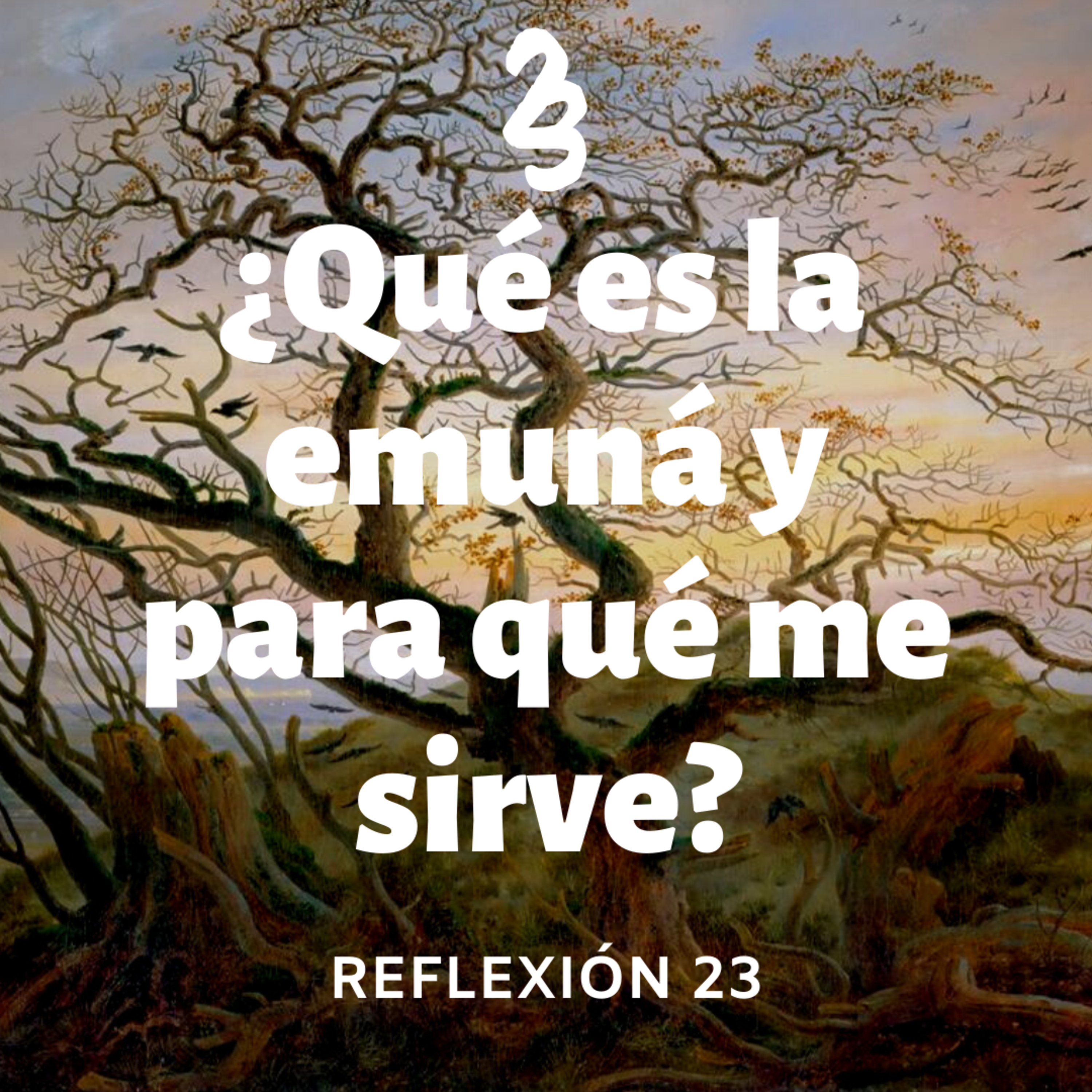 Reflexión 23