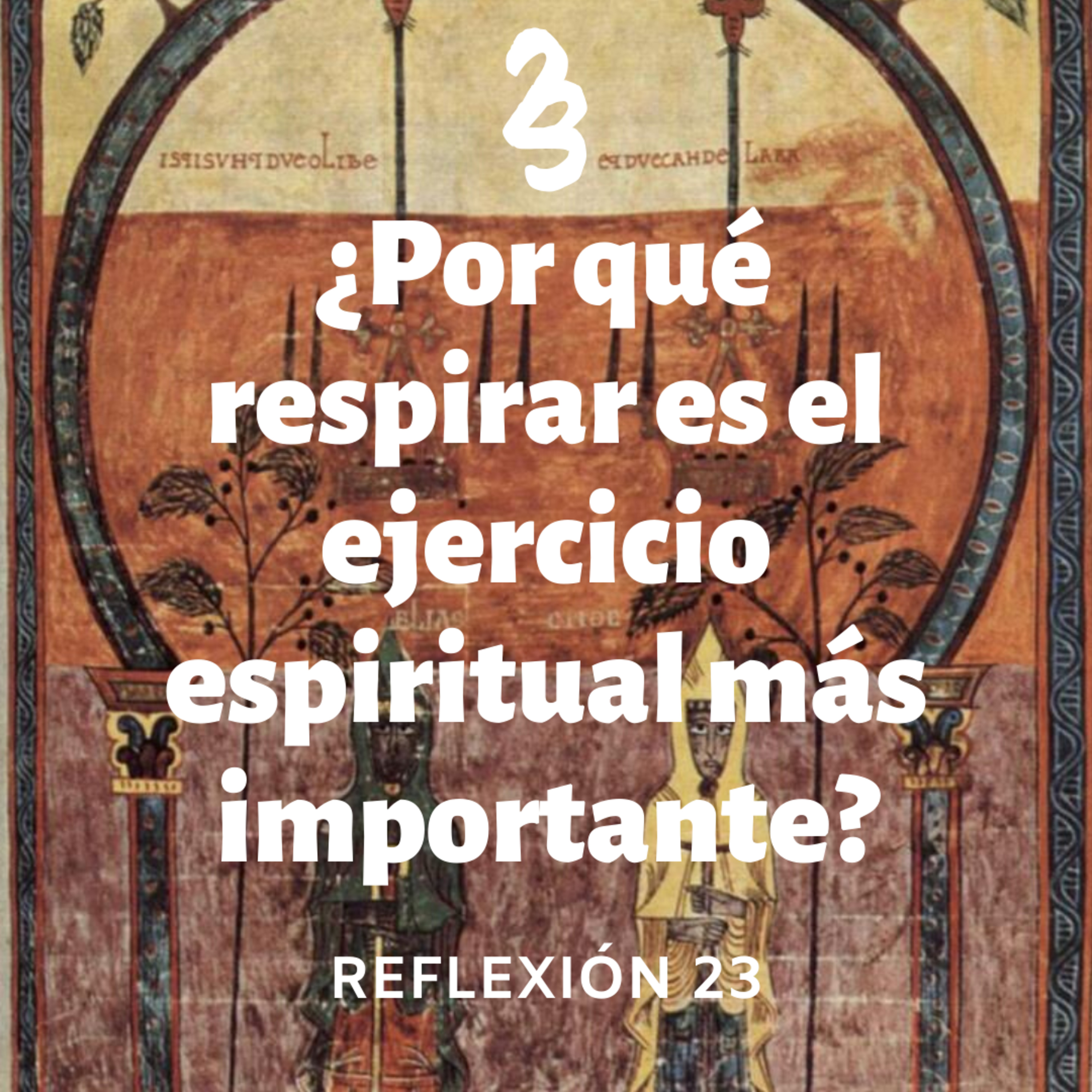 Reflexión 23