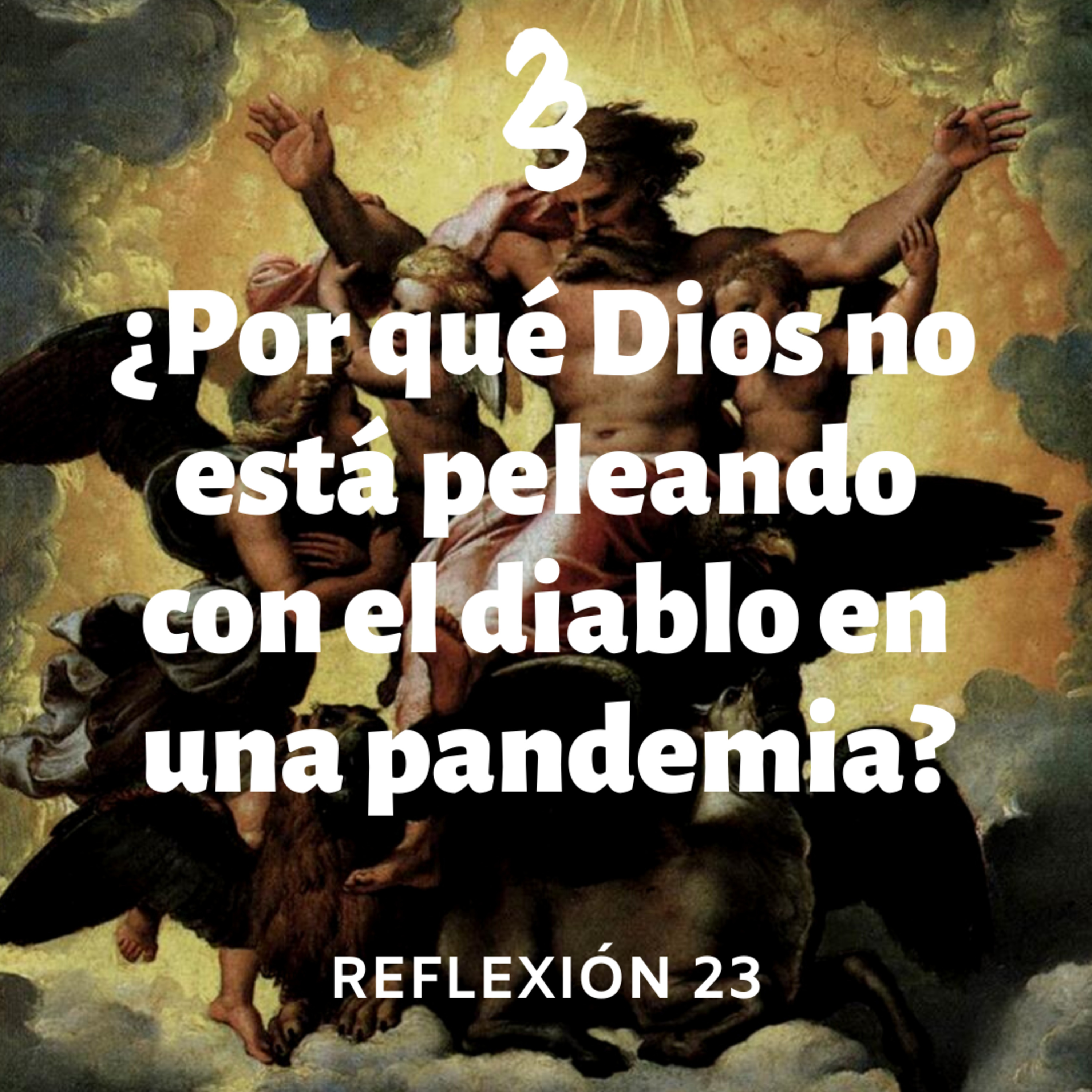 Reflexión 23