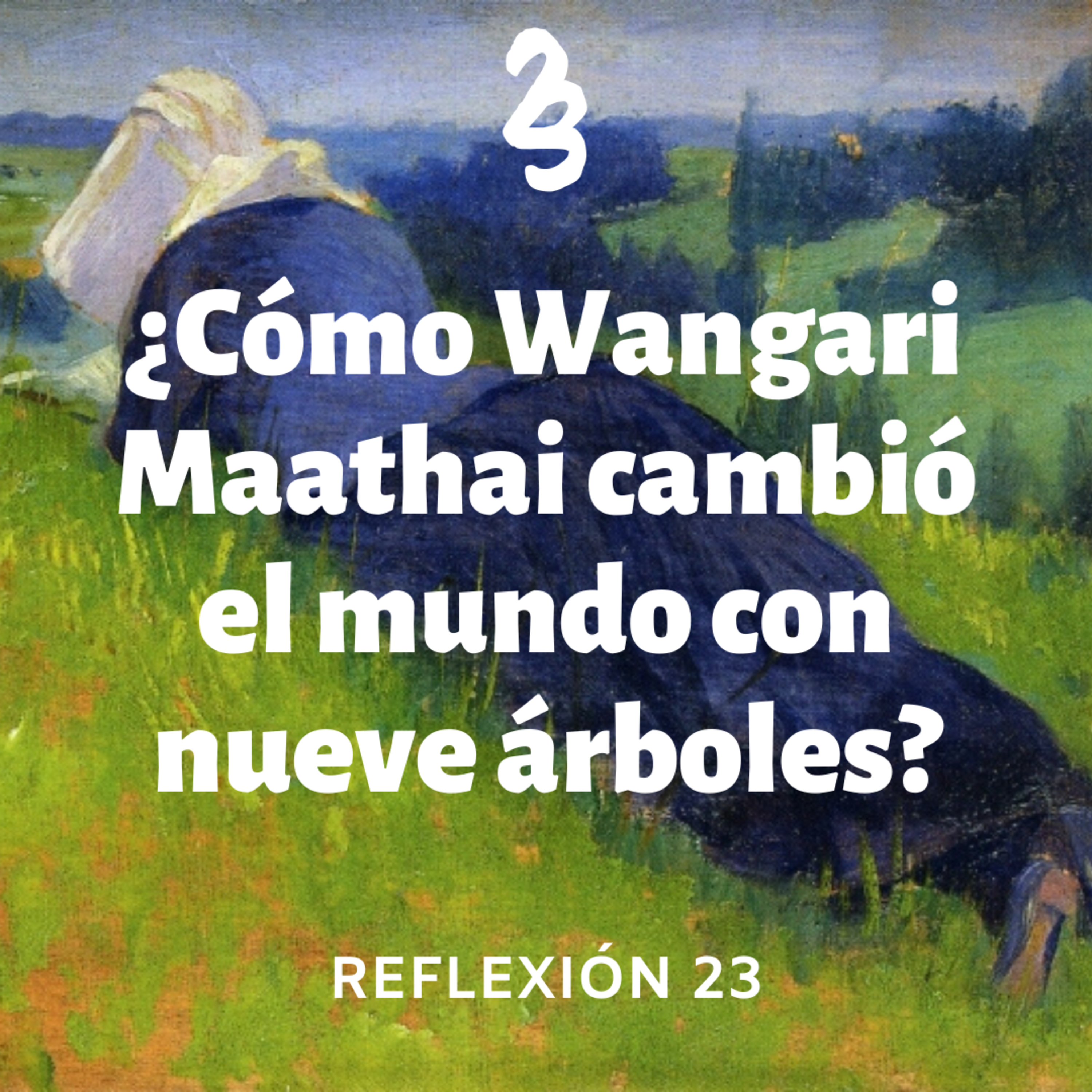 Reflexión 23