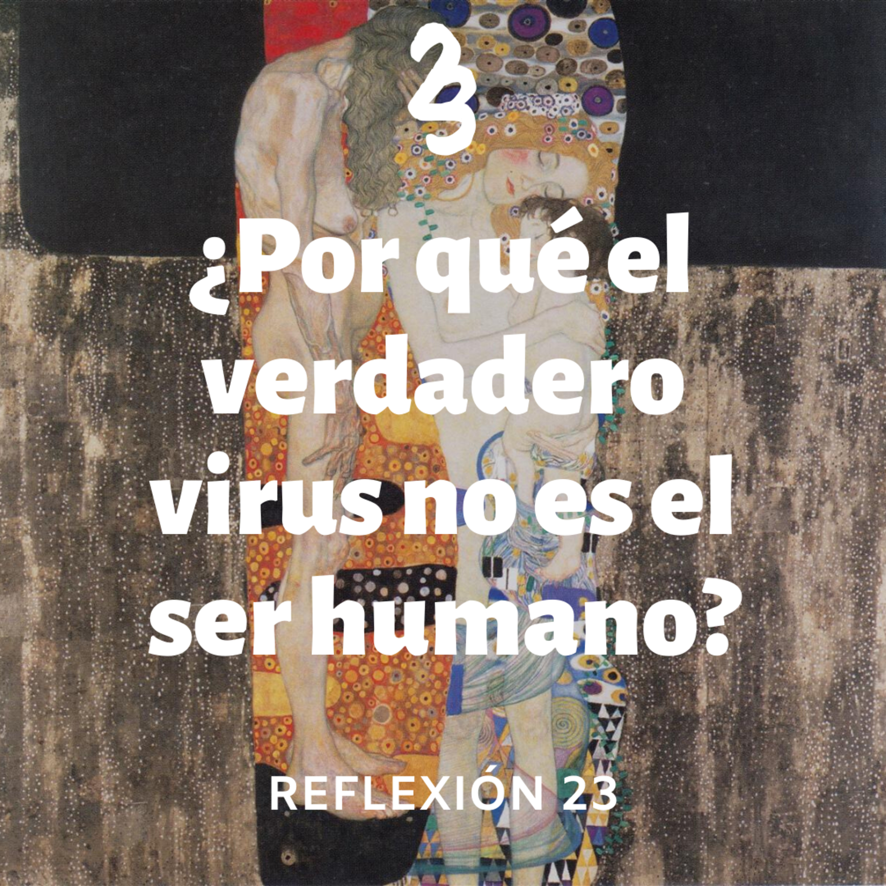 Reflexión 23