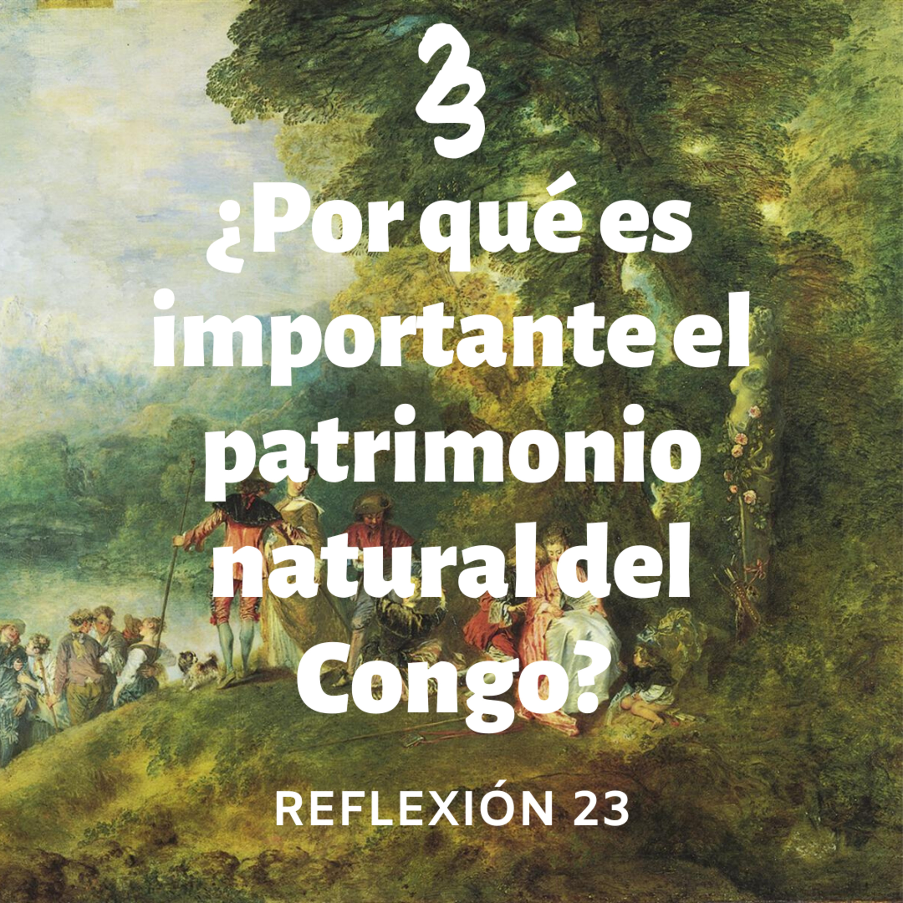 Reflexión 23