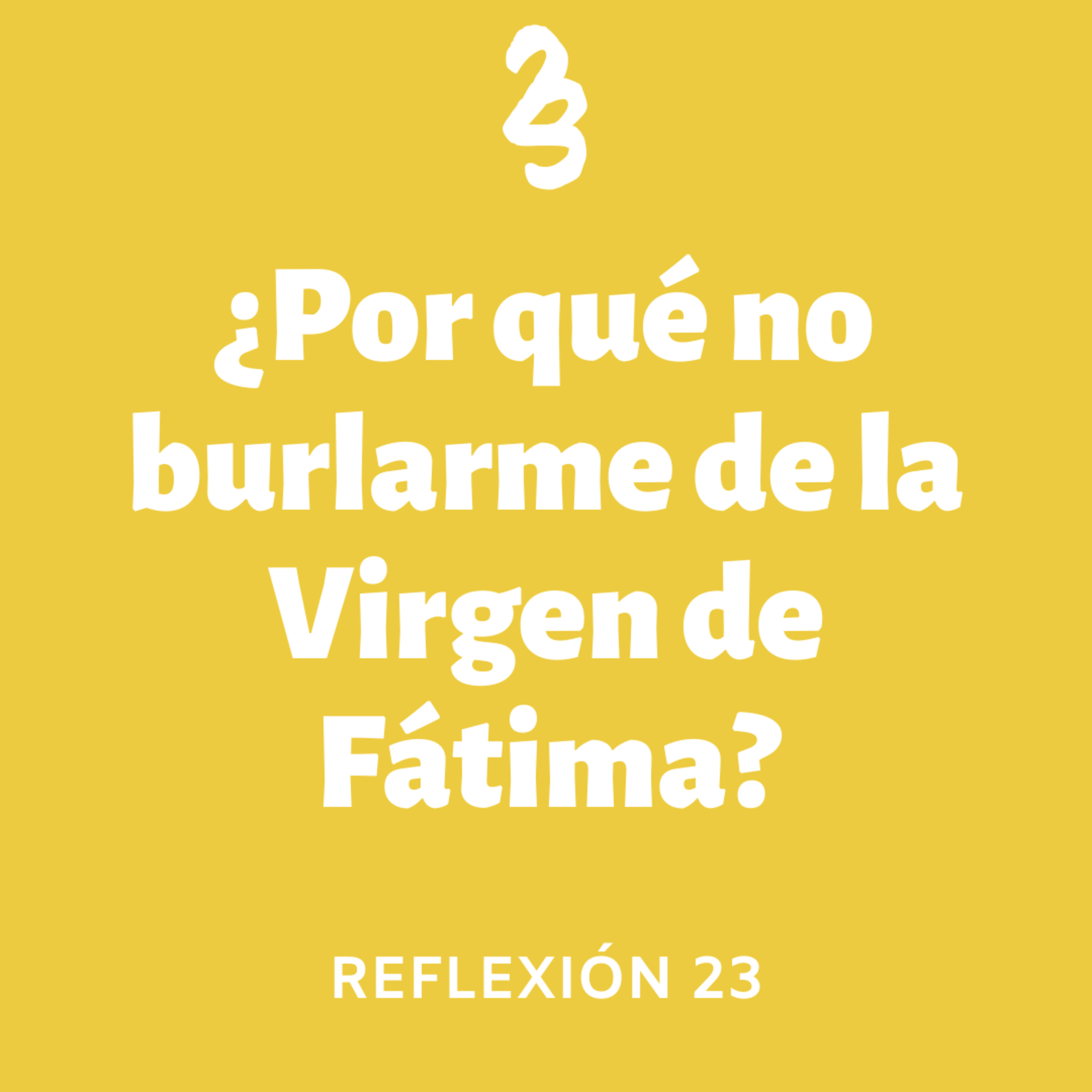 Reflexión 23