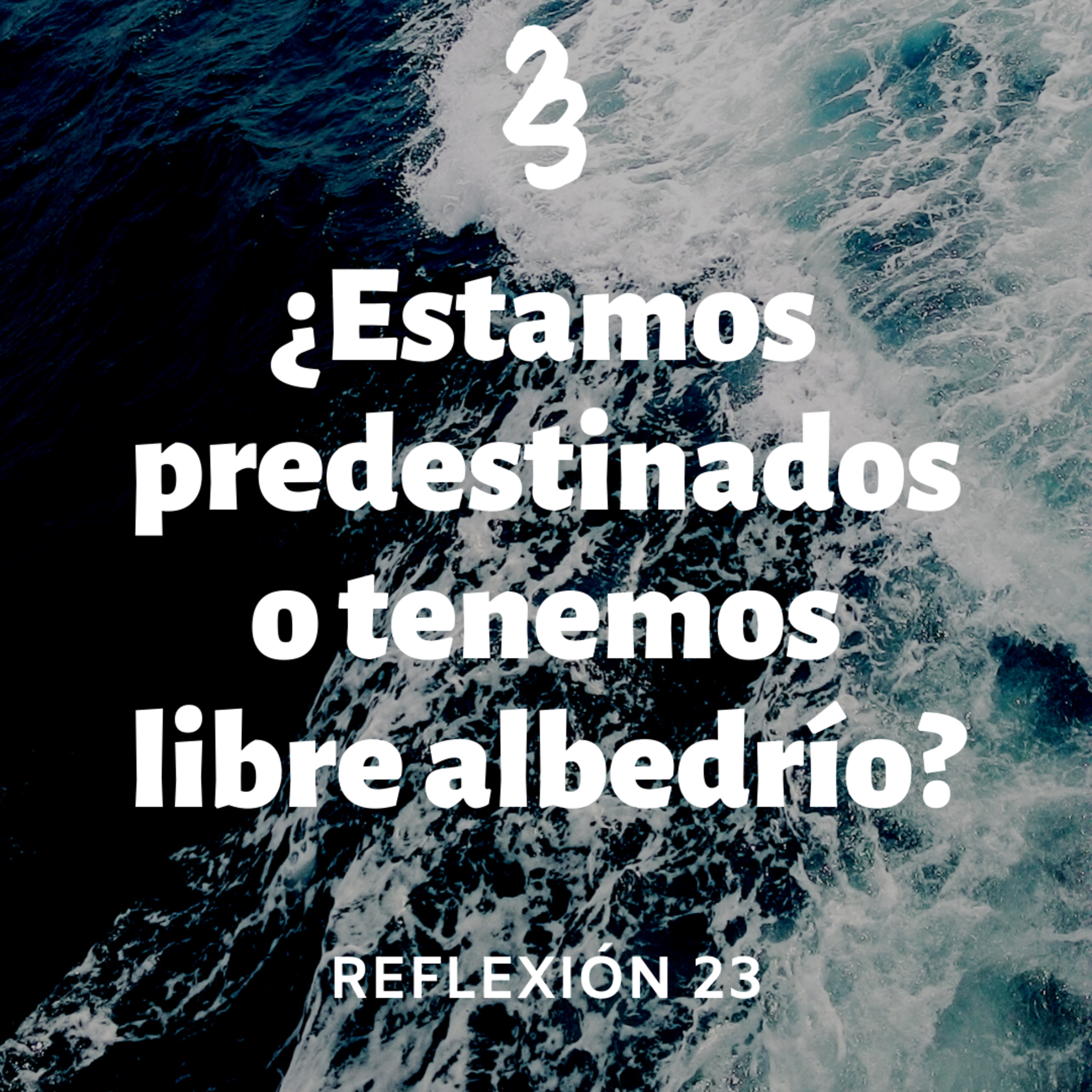 Reflexión 23