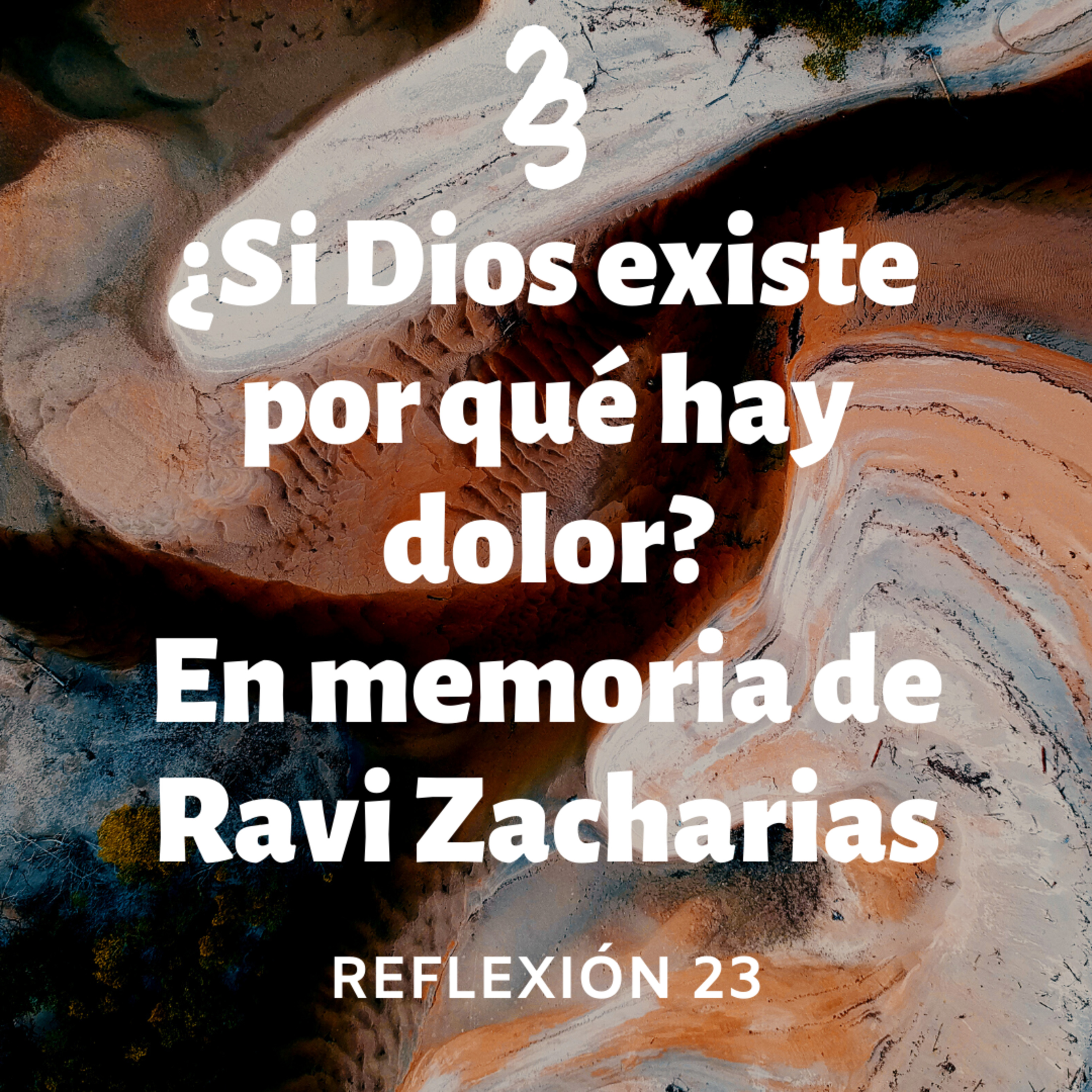 Reflexión 23
