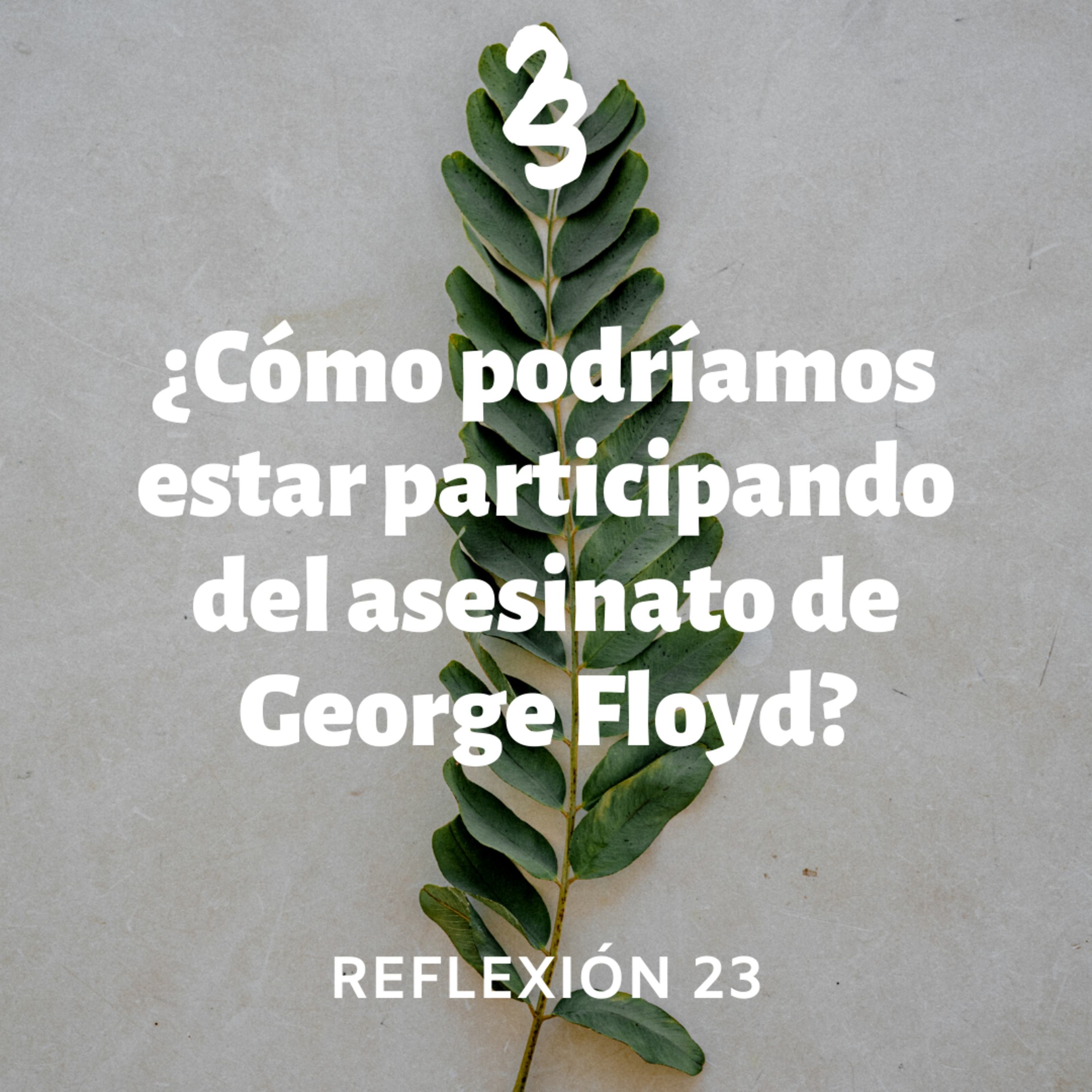 Reflexión 23
