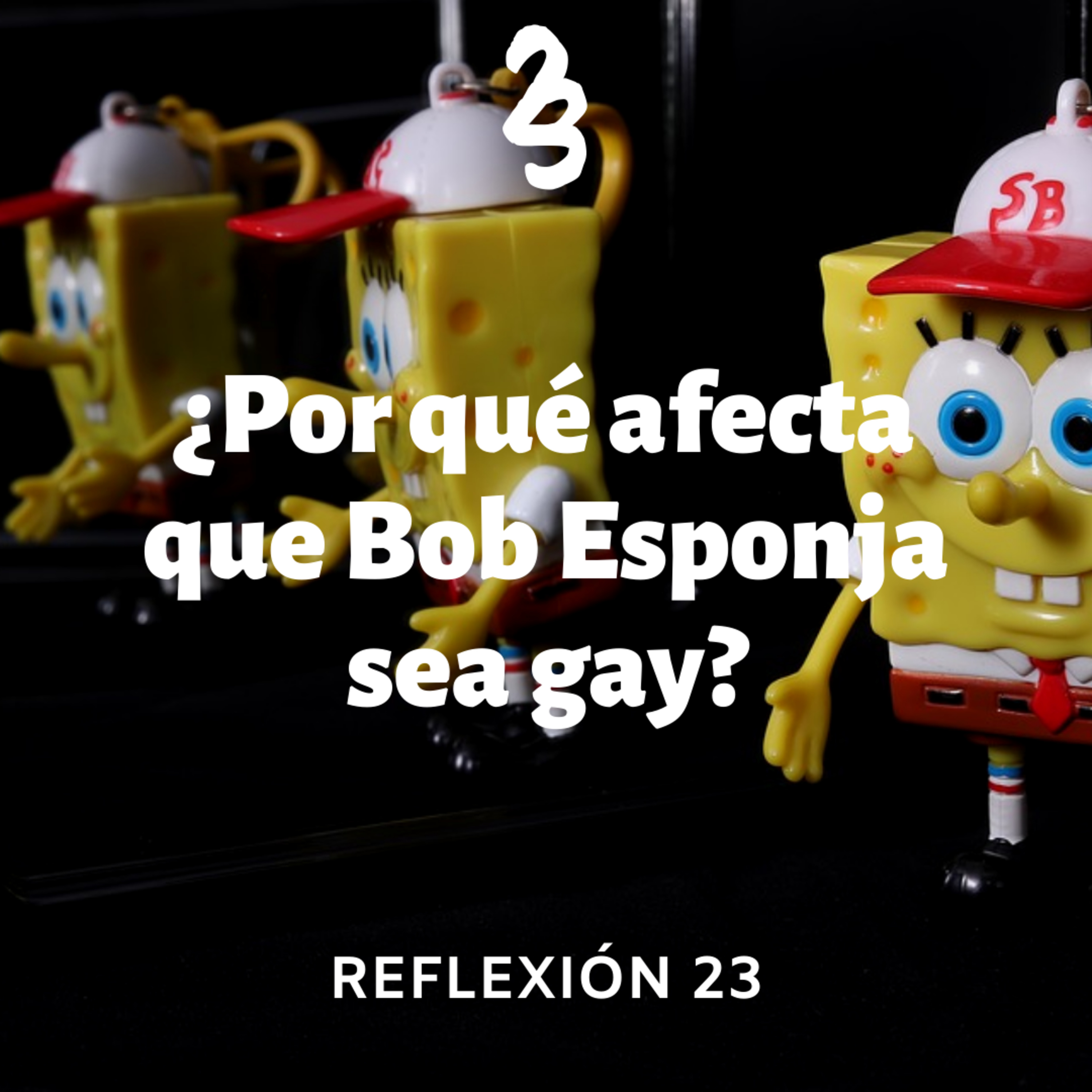 Reflexión 23
